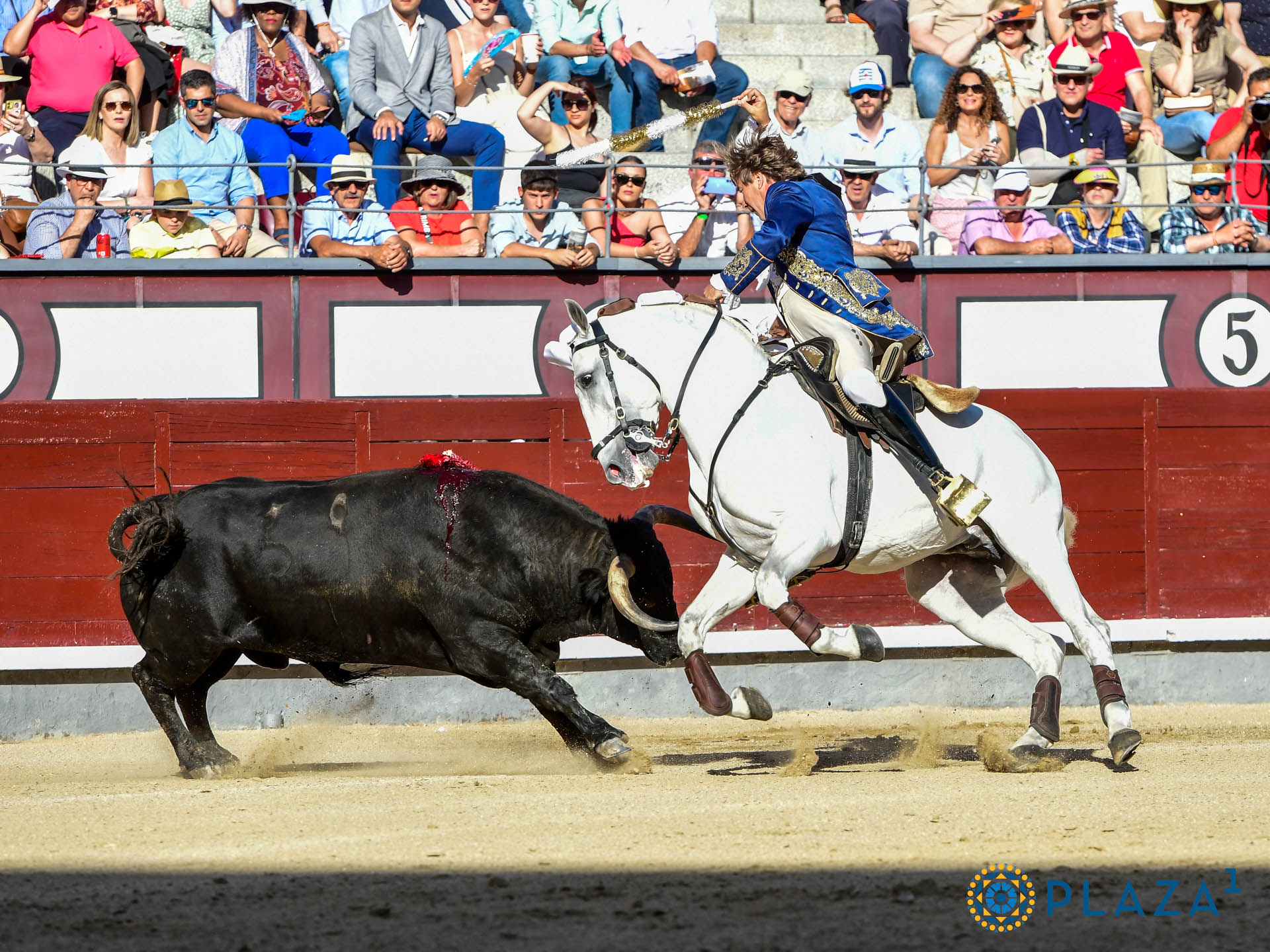 <p>Foto: Alfredo Arévalo / Plaza 1</p>