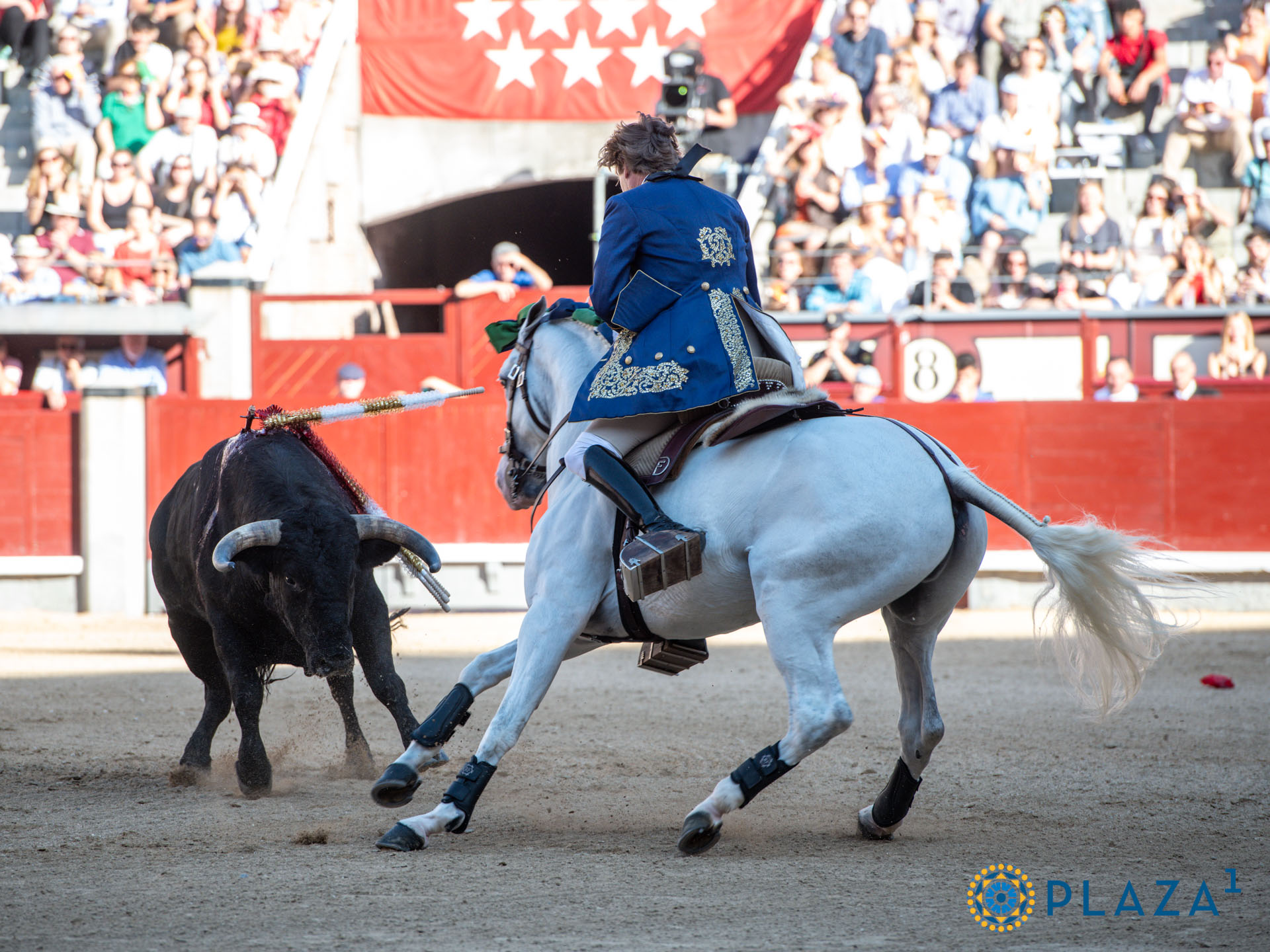 <p>Foto: Alfredo Arévalo / Plaza 1</p>