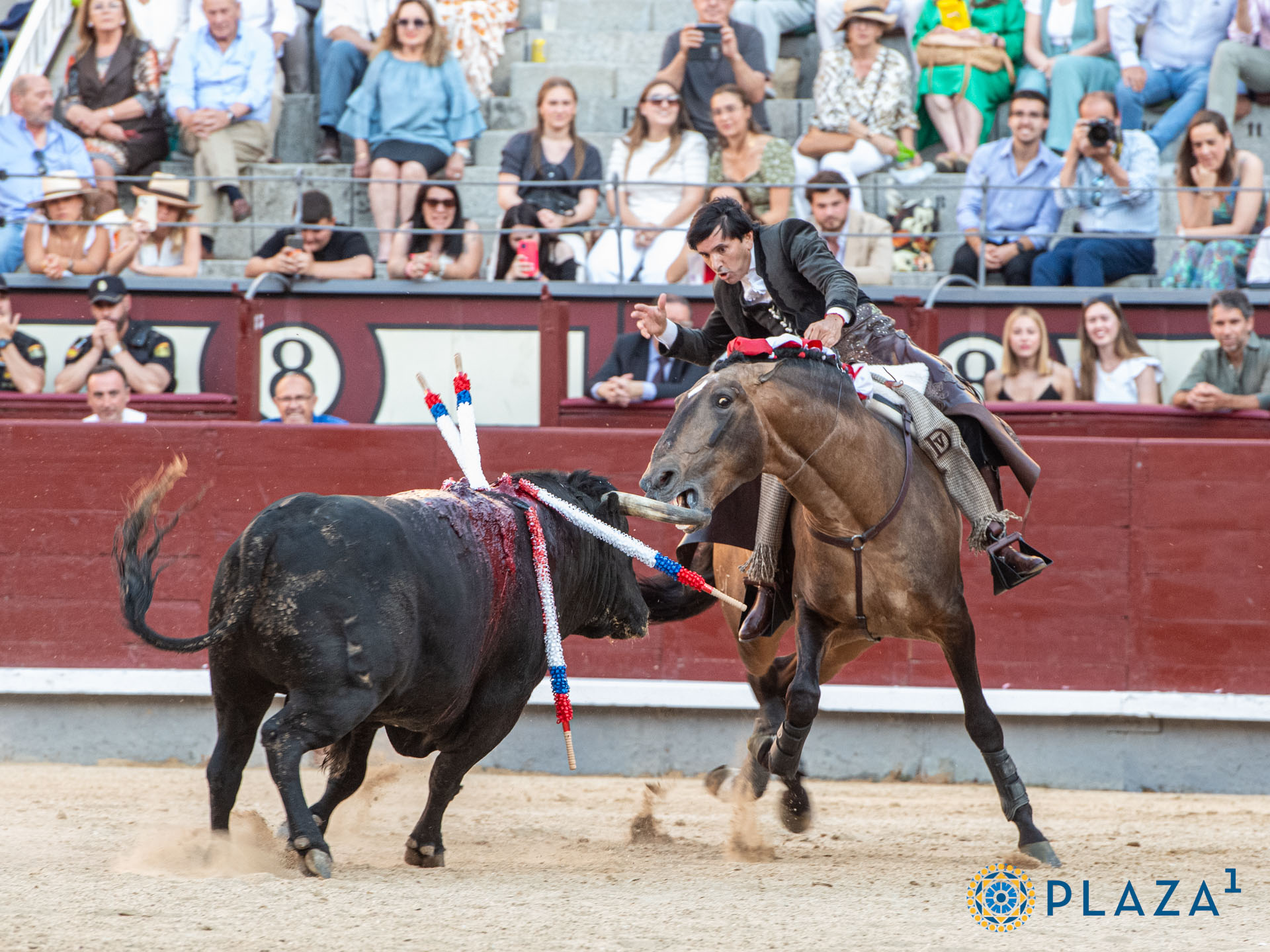 <p>Foto: Alfredo Arévalo / Plaza 1</p>