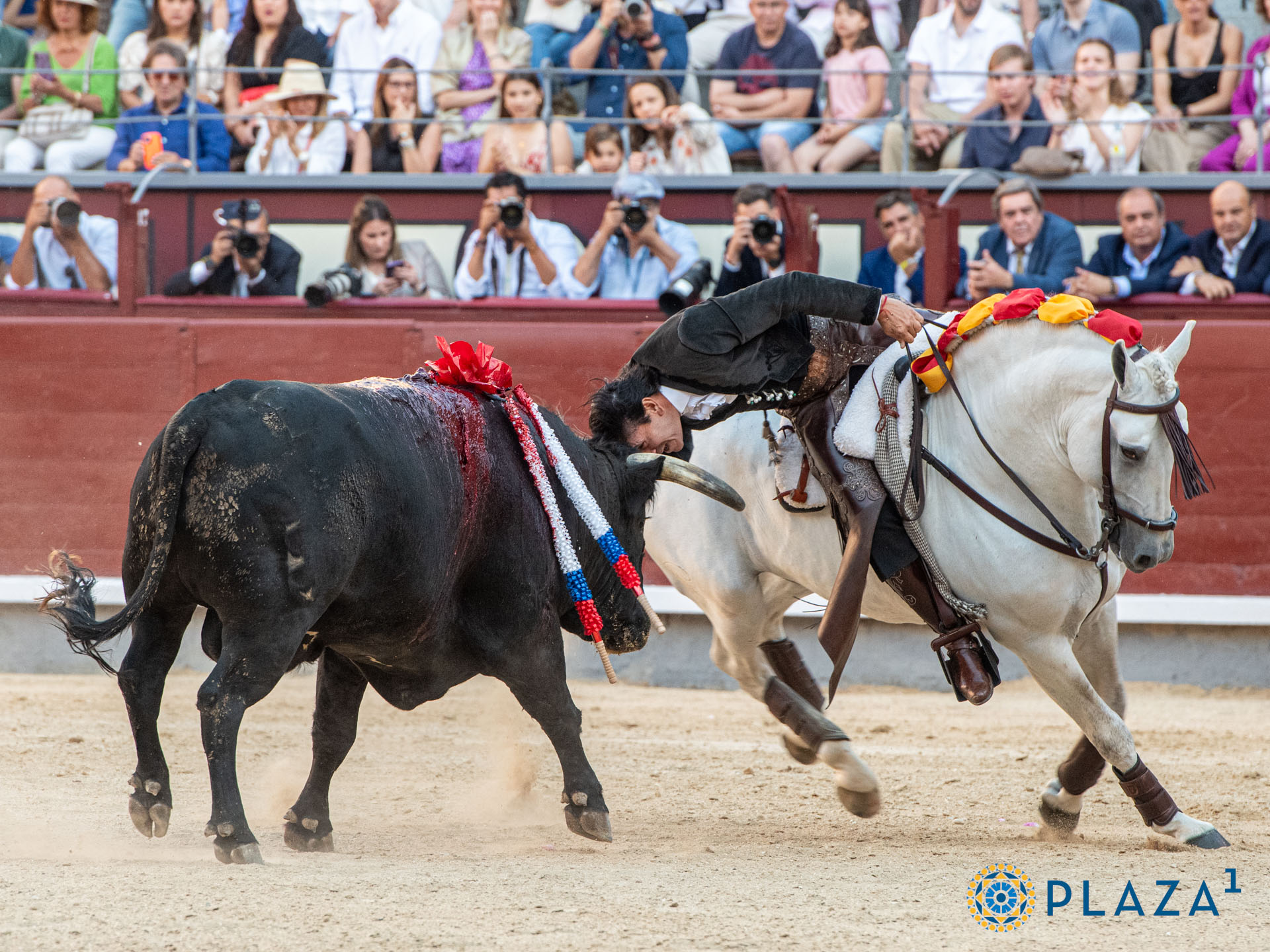<p>Foto: Alfredo Arévalo / Plaza 1</p>