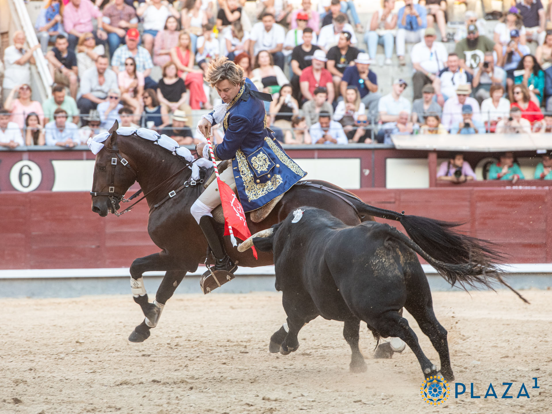 <p>Foto: Alfredo Arévalo / Plaza 1</p>