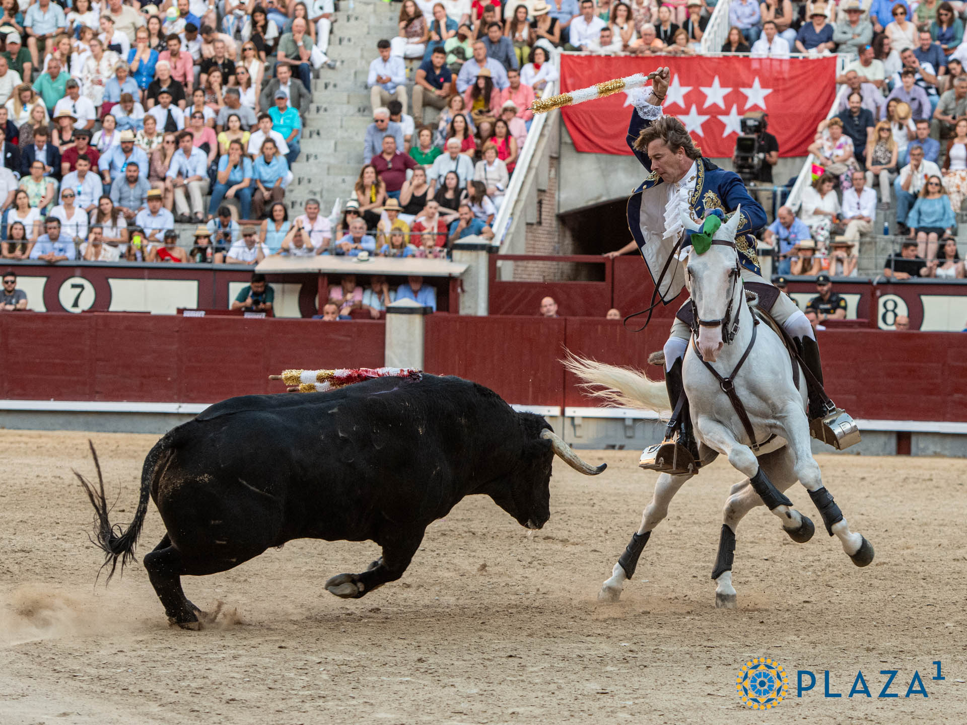<p>Foto: Alfredo Arévalo / Plaza 1</p>