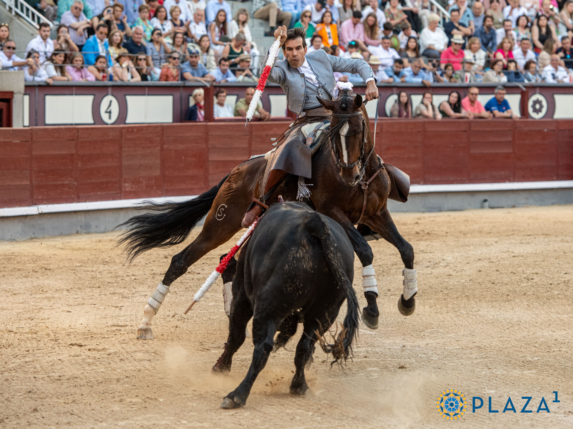 <p>Foto: Alfredo Arévalo / Plaza 1</p>
