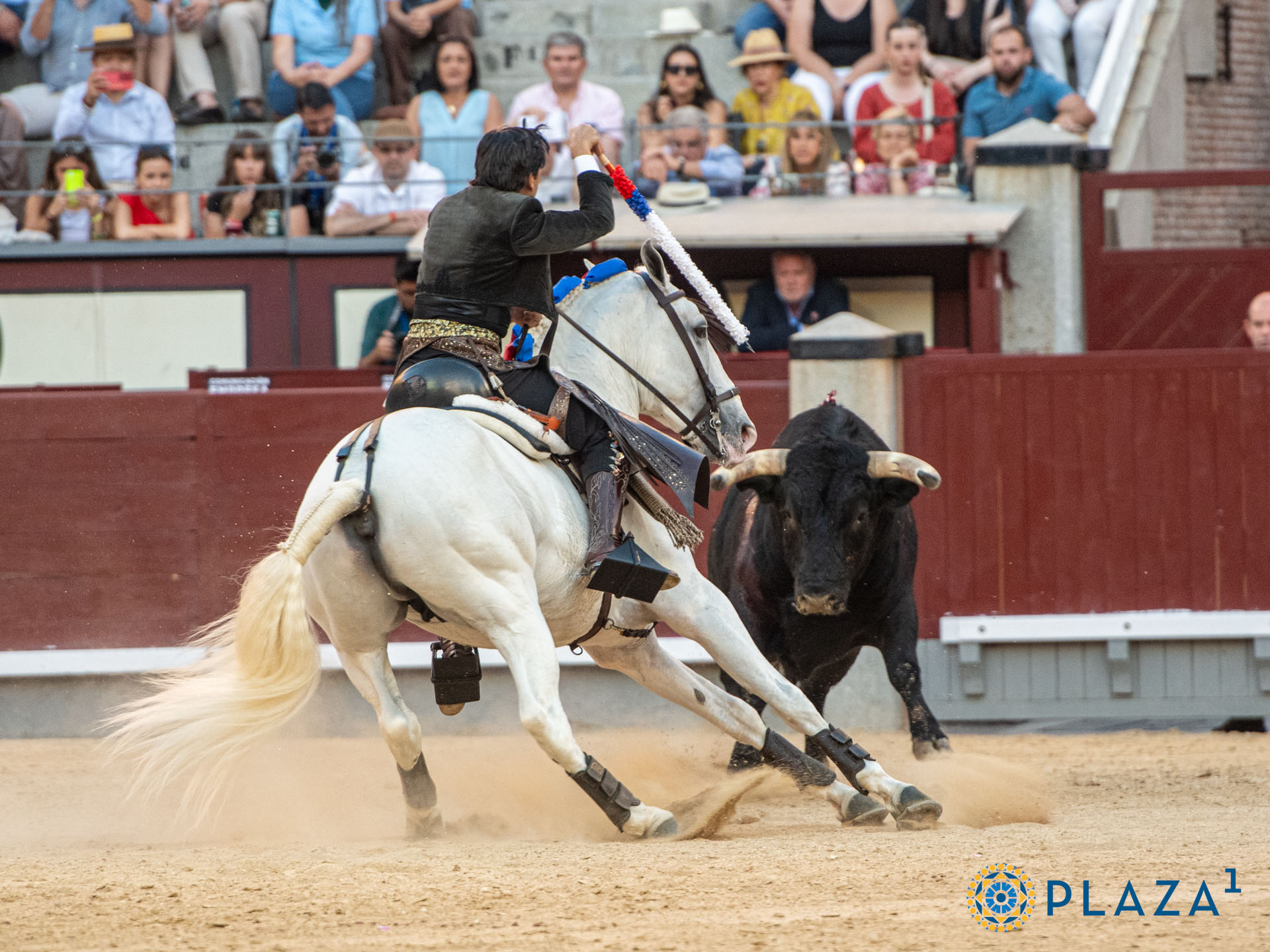 <p><span style="text-decoration: underline;">Foto: Alfredo Arévalo / Plaza 1</span></p>