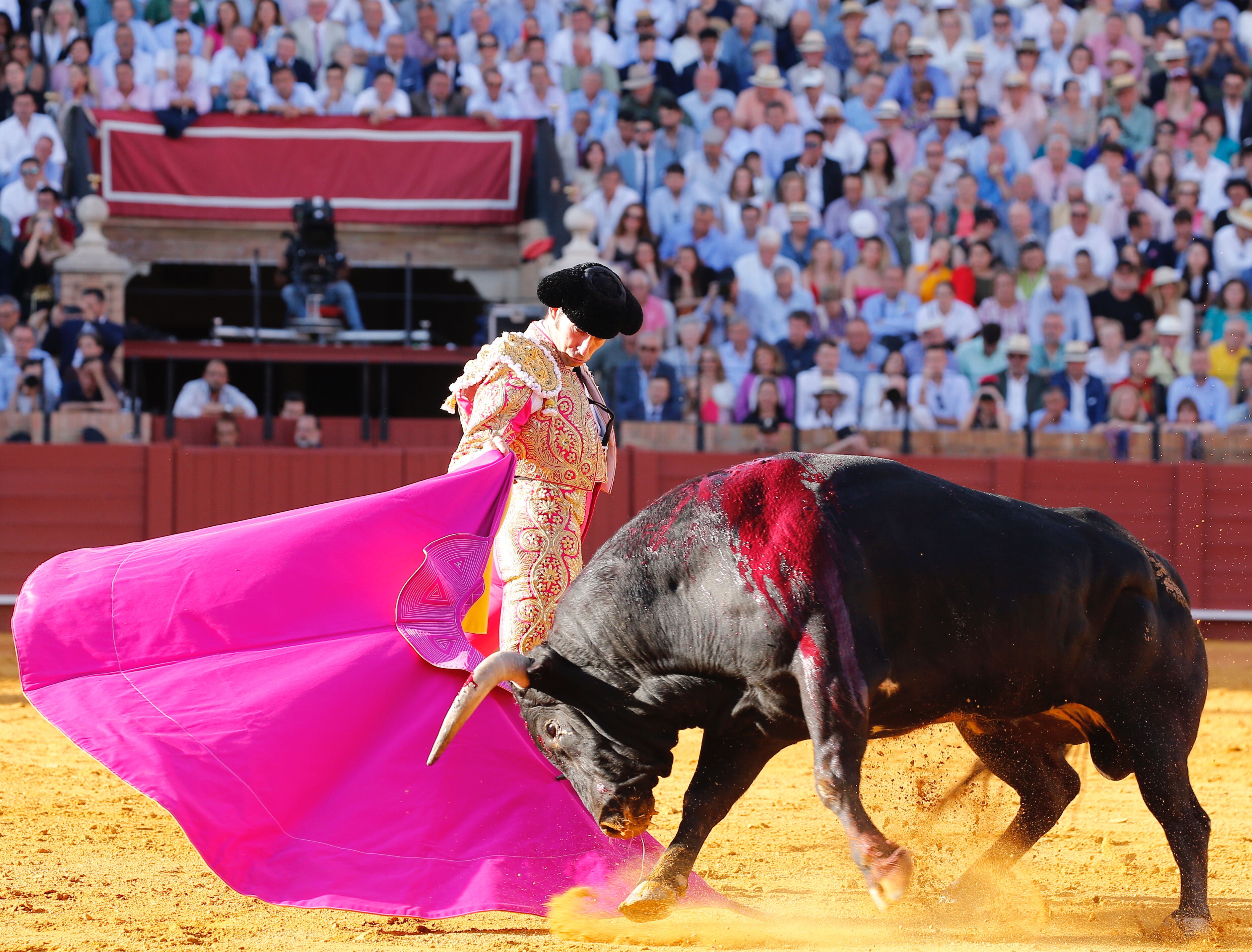 <p>Foto: Arjona / Pagés</p>