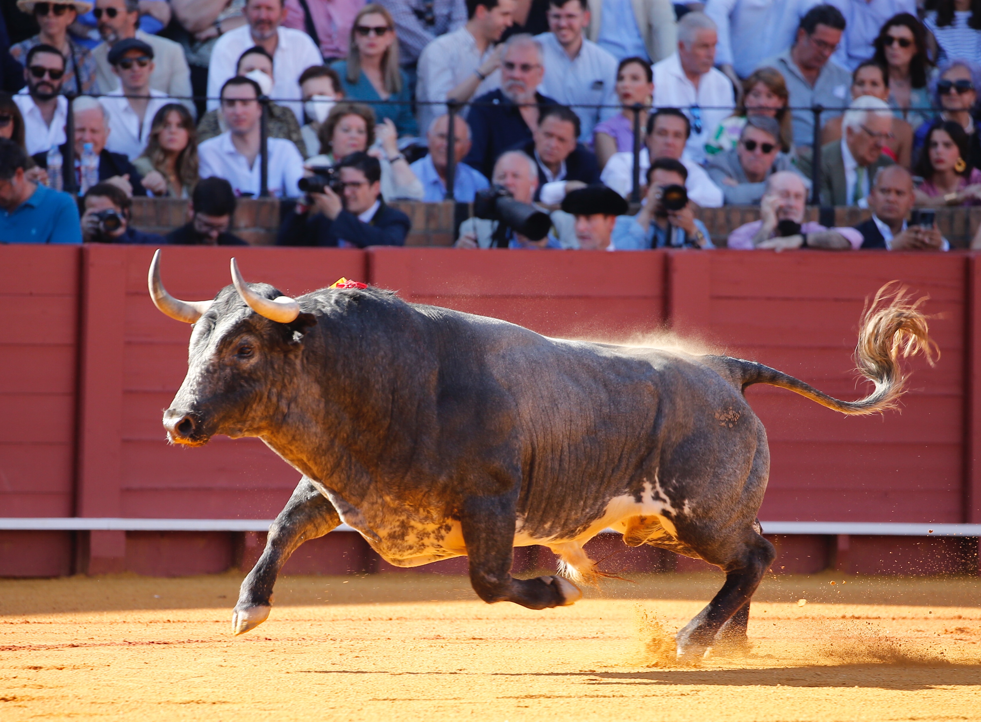 <p> Foto: Arjona / Pagés</p>