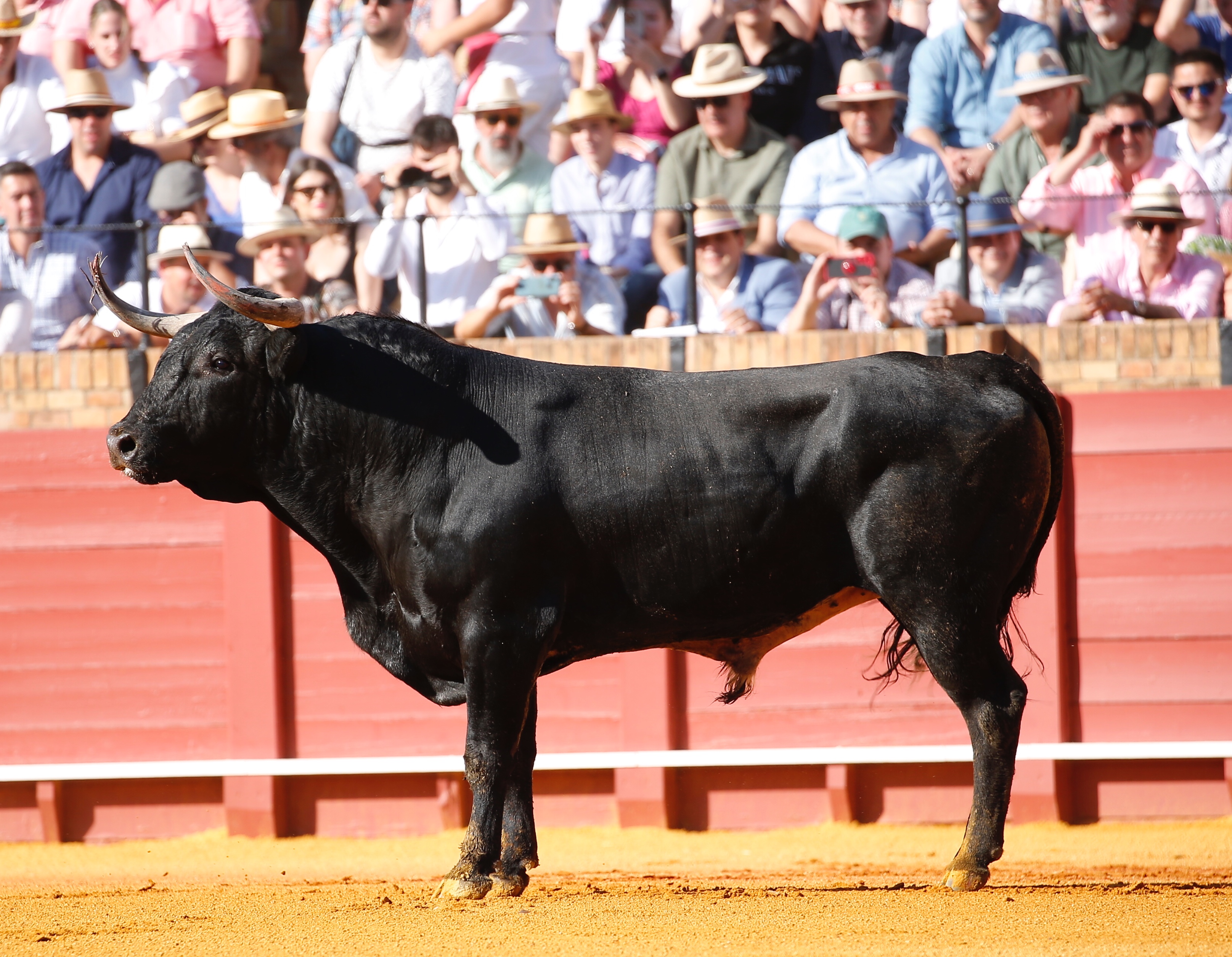 <p>Foto: Arjona / Pagés</p>