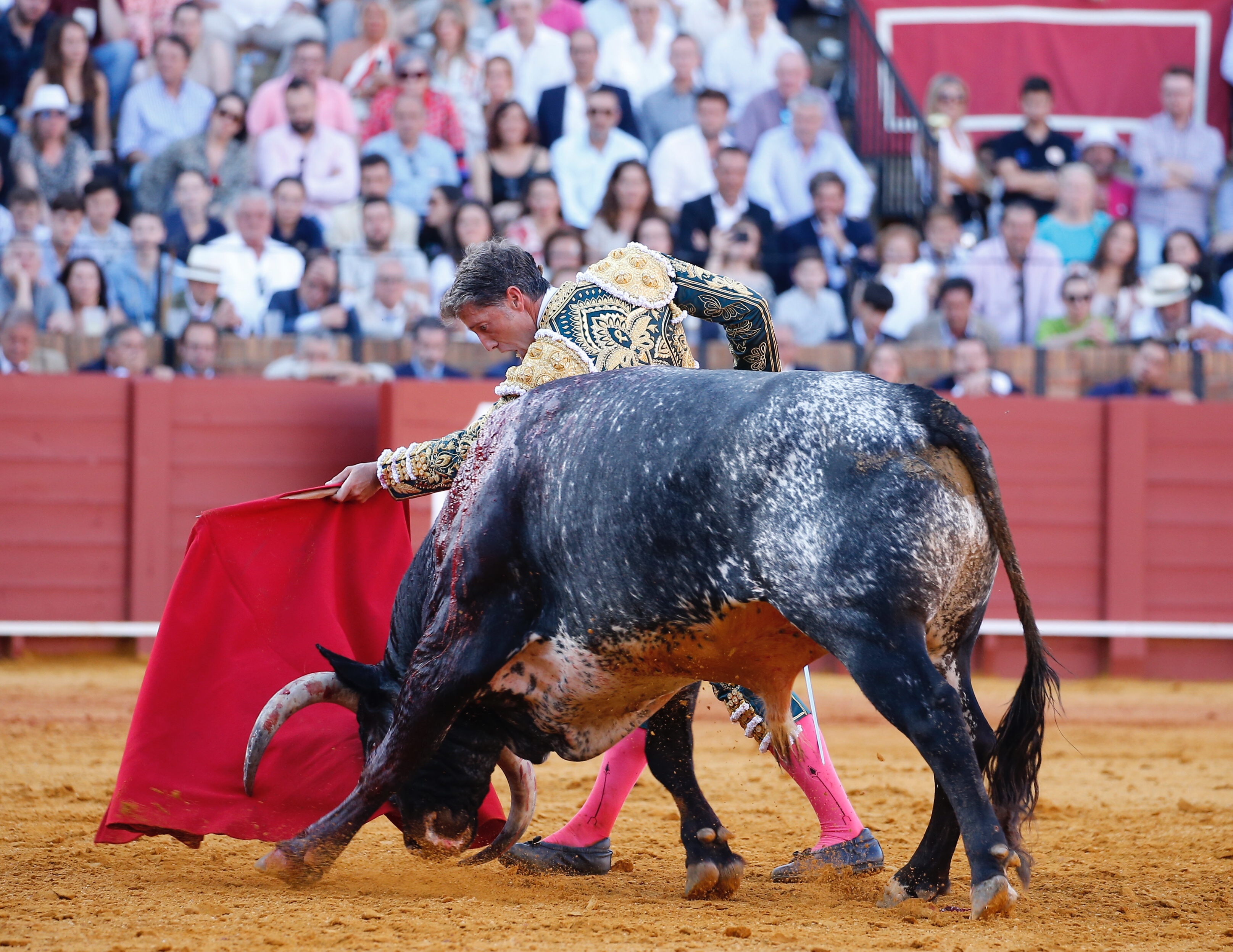 <p>Foto: Arjona / Pagés</p>
