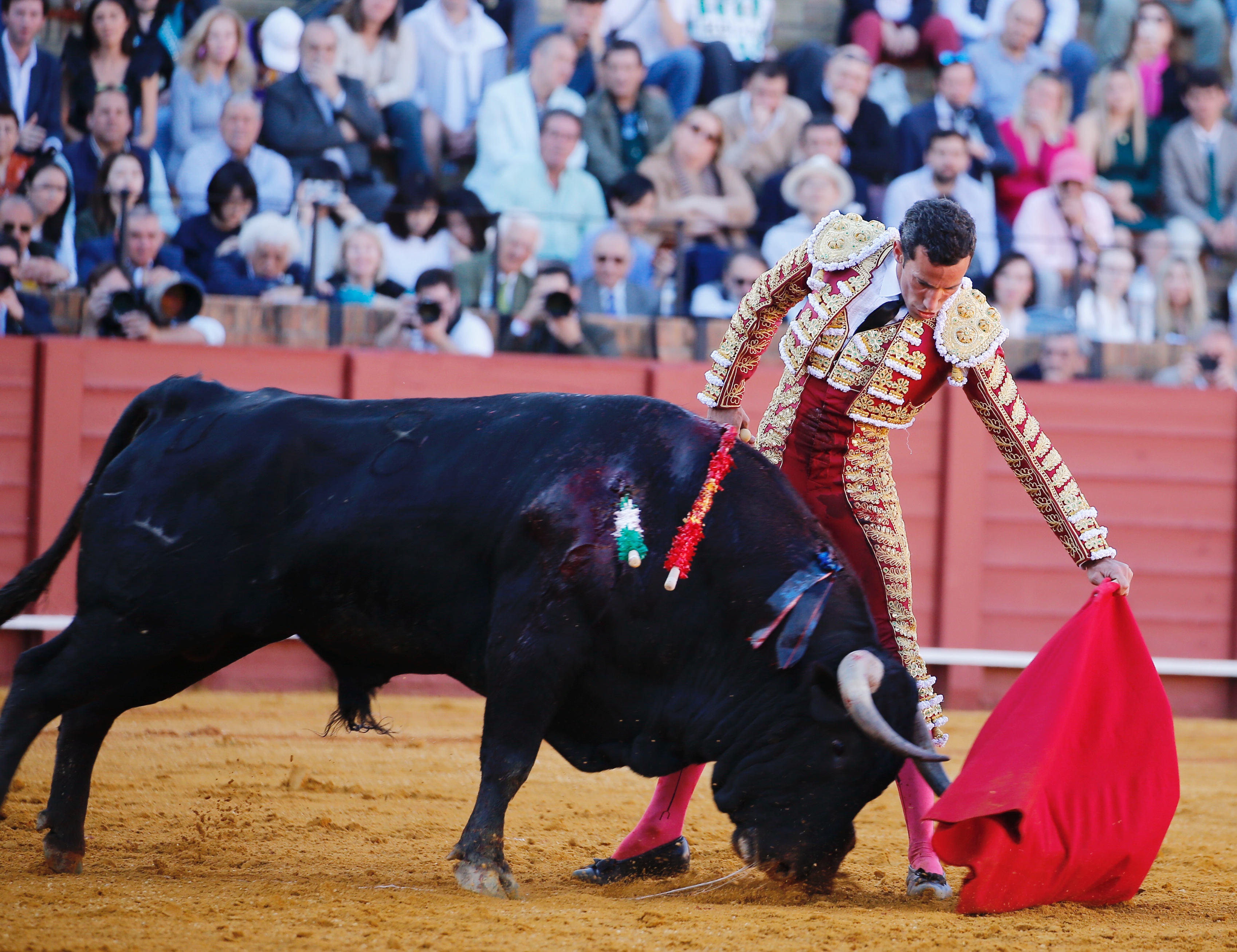 <p>Fotos: Arjona / Pagés</p>