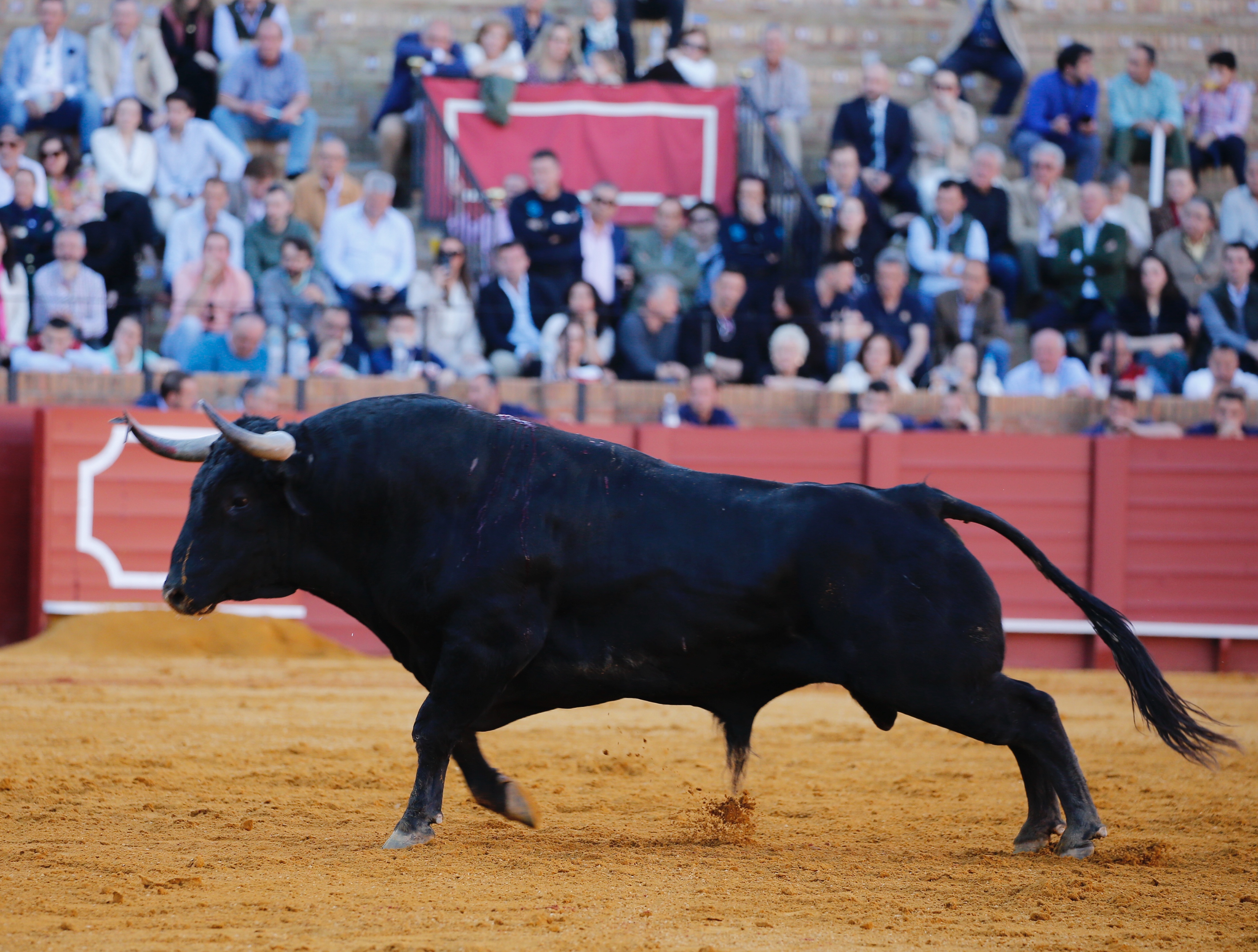 <p>Fotos: Arjona / Pagés</p>