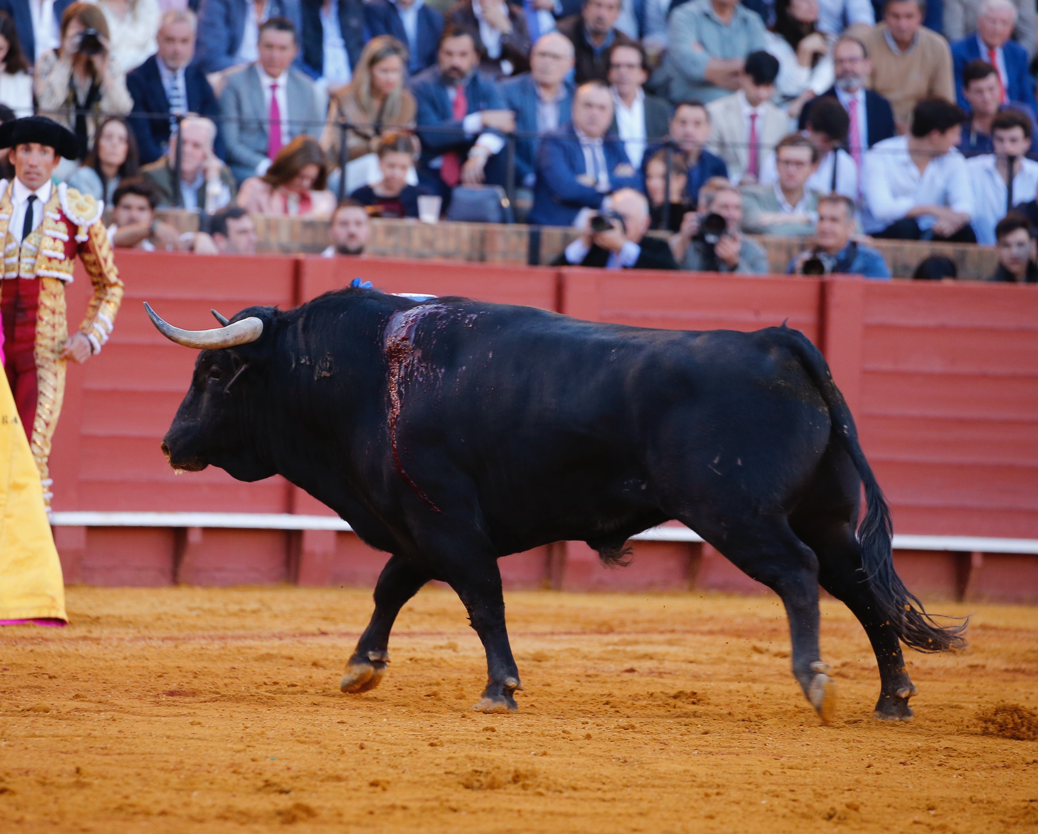 <p>Fotos: Arjona / Pagés</p>