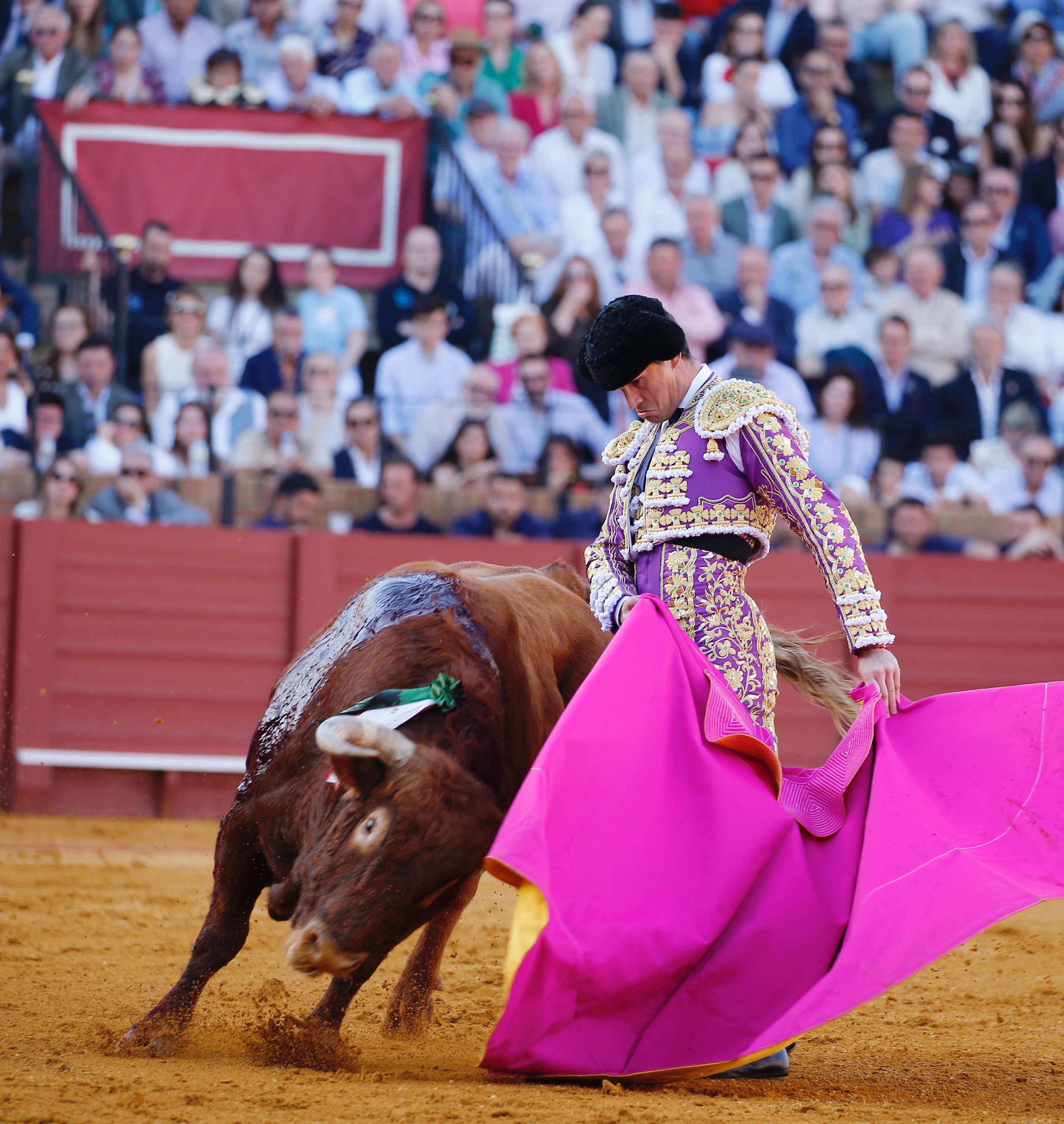 <p>Fotos: Arjona / Pagés</p>