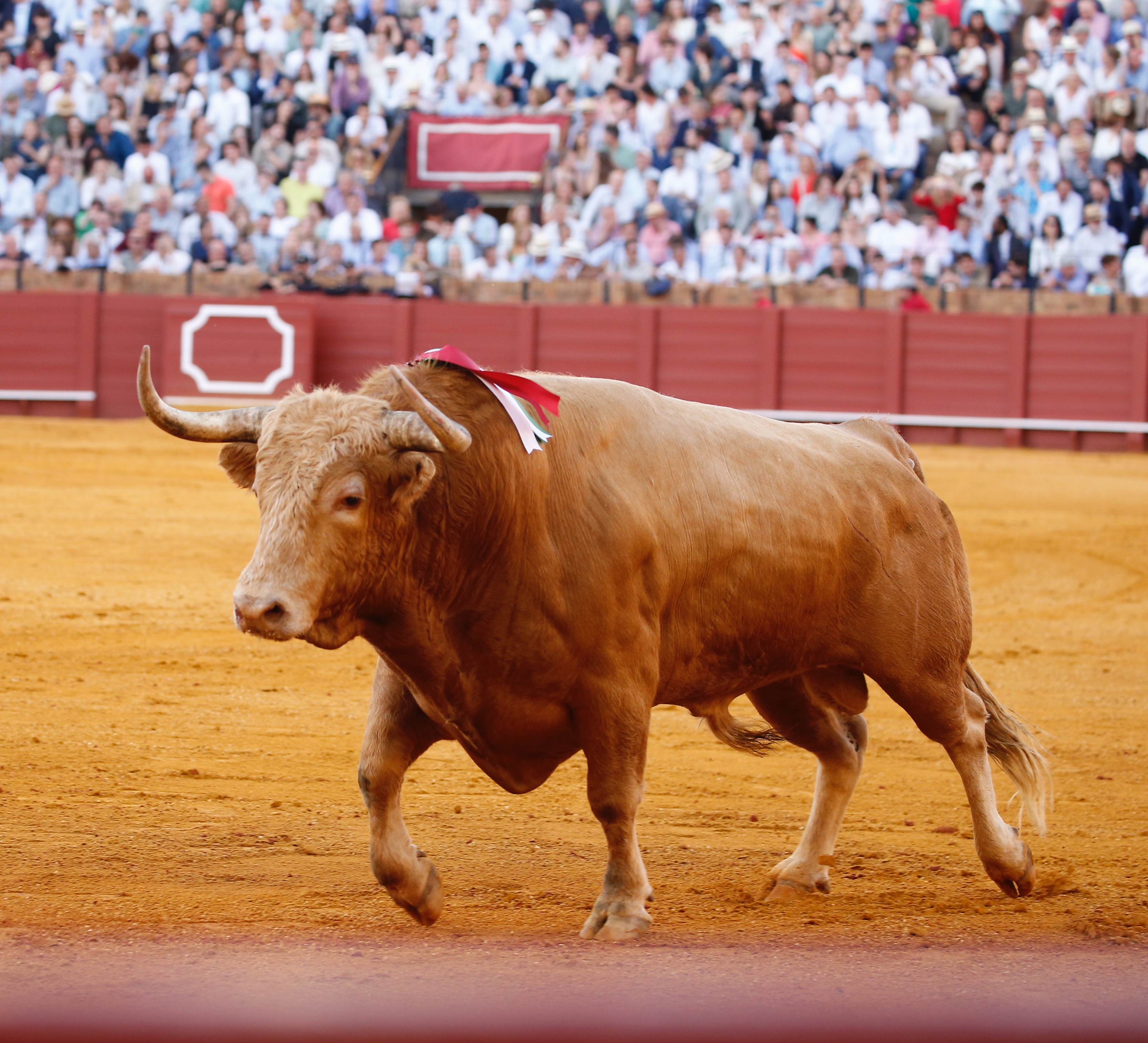 <p>Fotos: Arjona / Pagés</p>