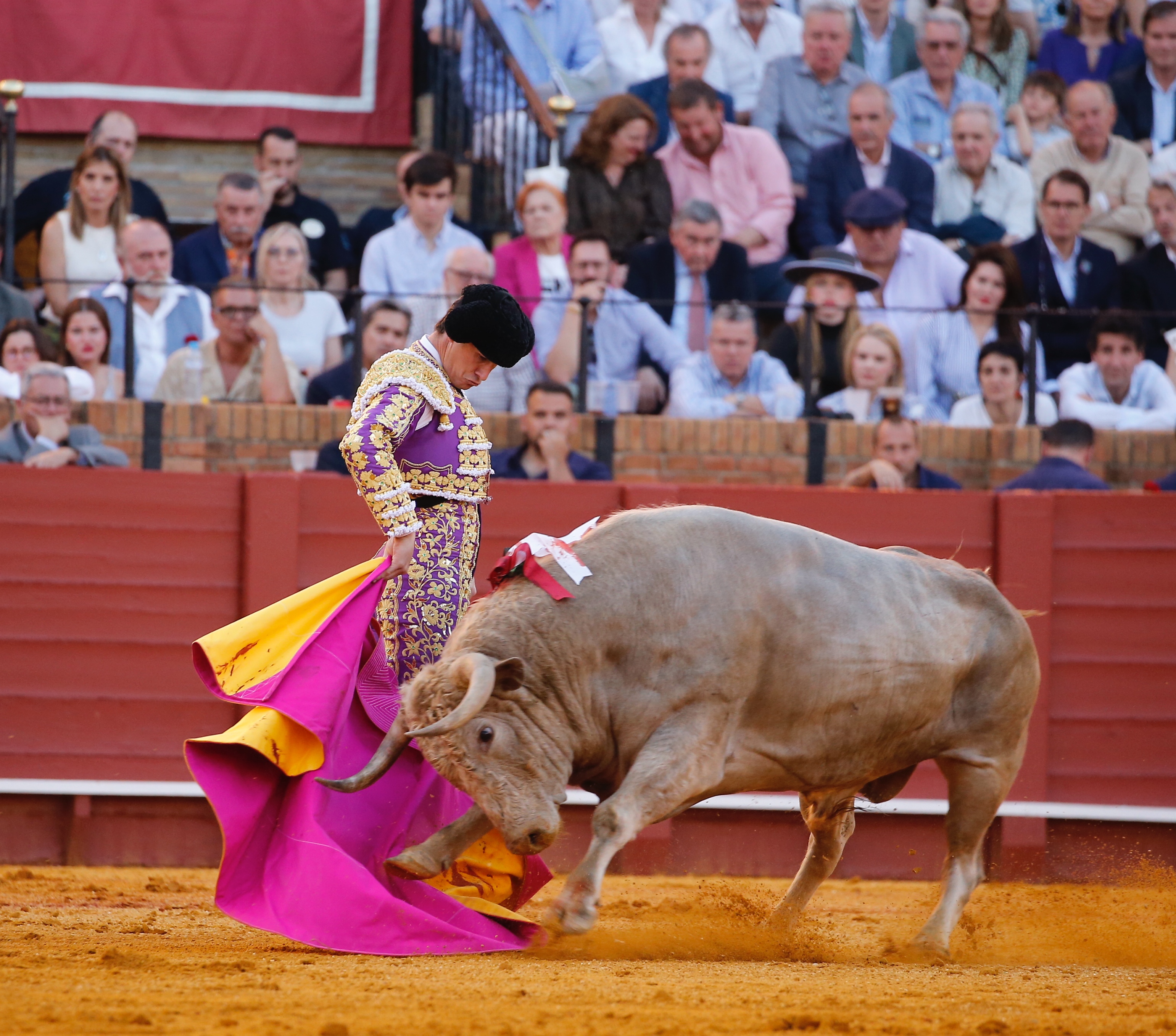 <p>Fotos: Arjona / Pagés</p>