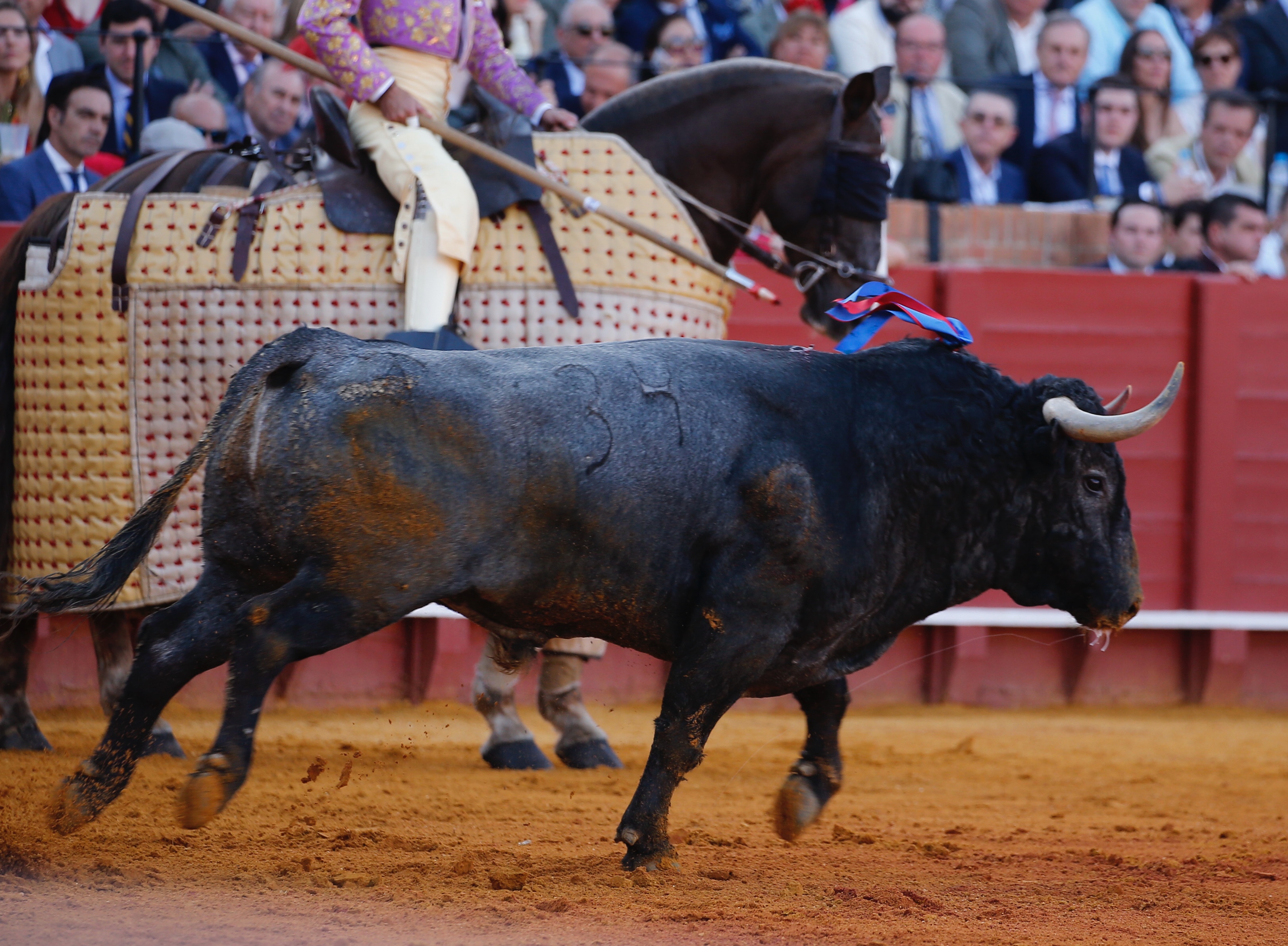 <p>Fotos: Arjona / Pagés</p>