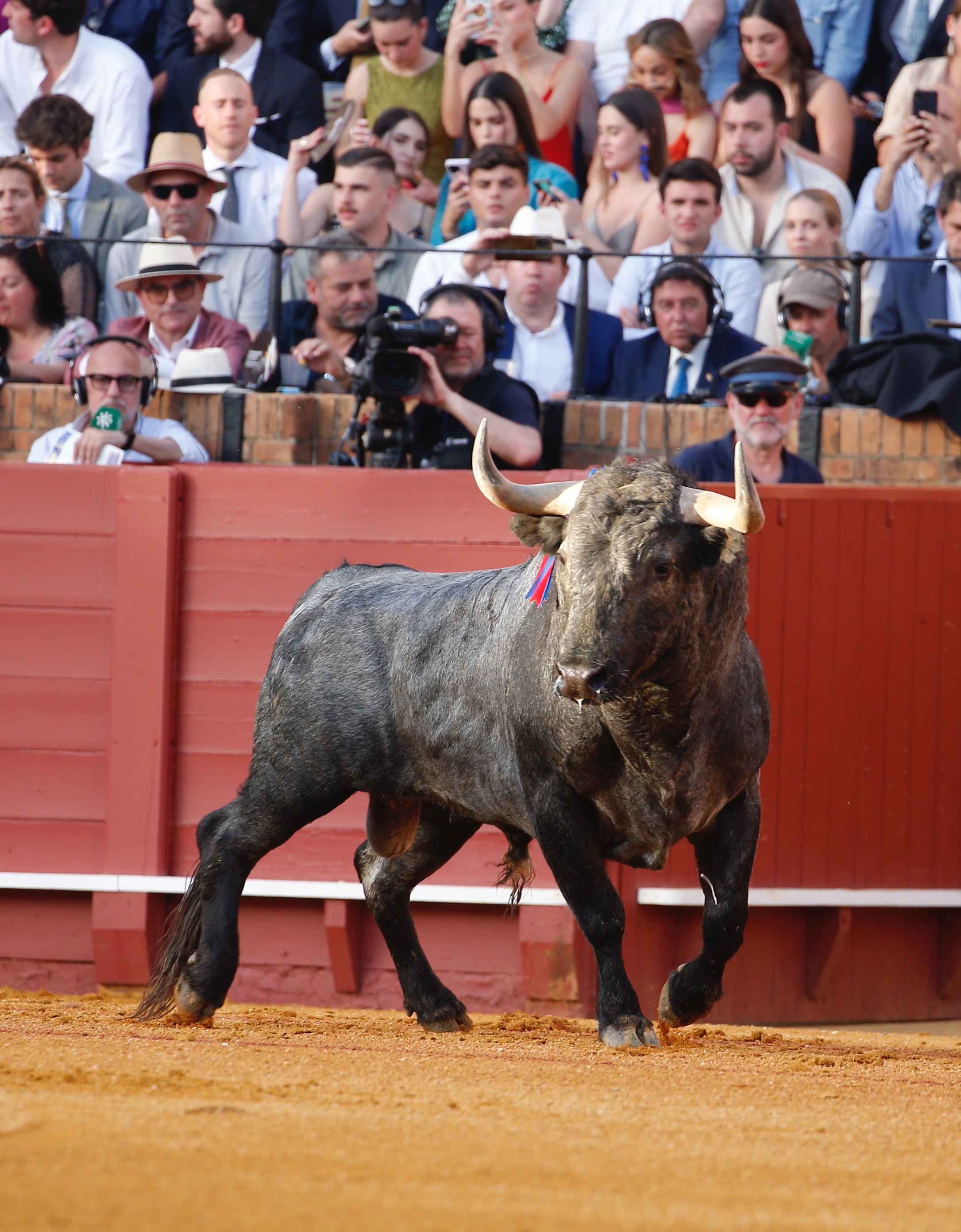 <p>Fotos: Arjona / Pagés</p>