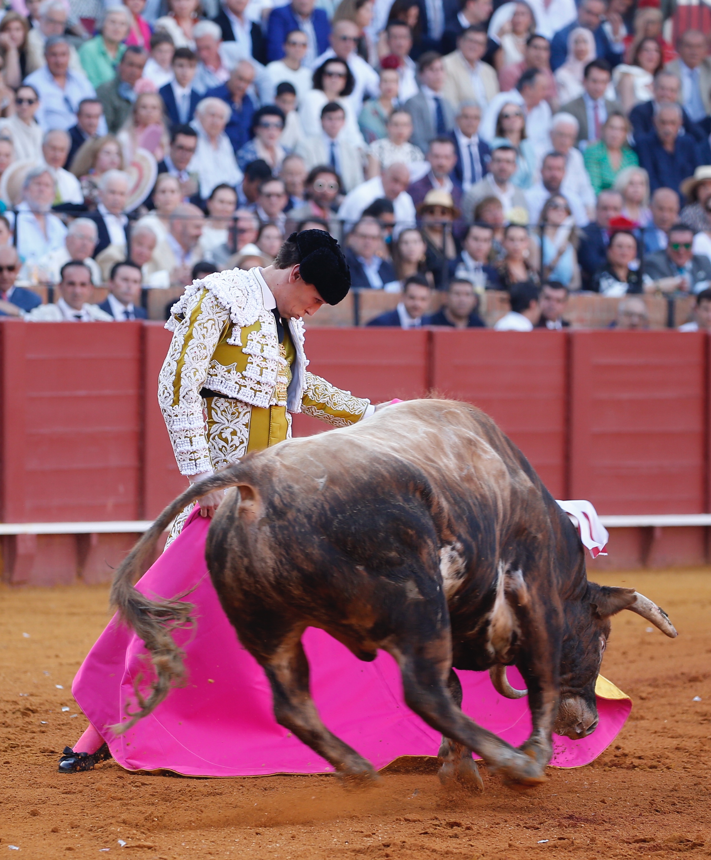 <p>Fotos: Arjona / Pagés</p>