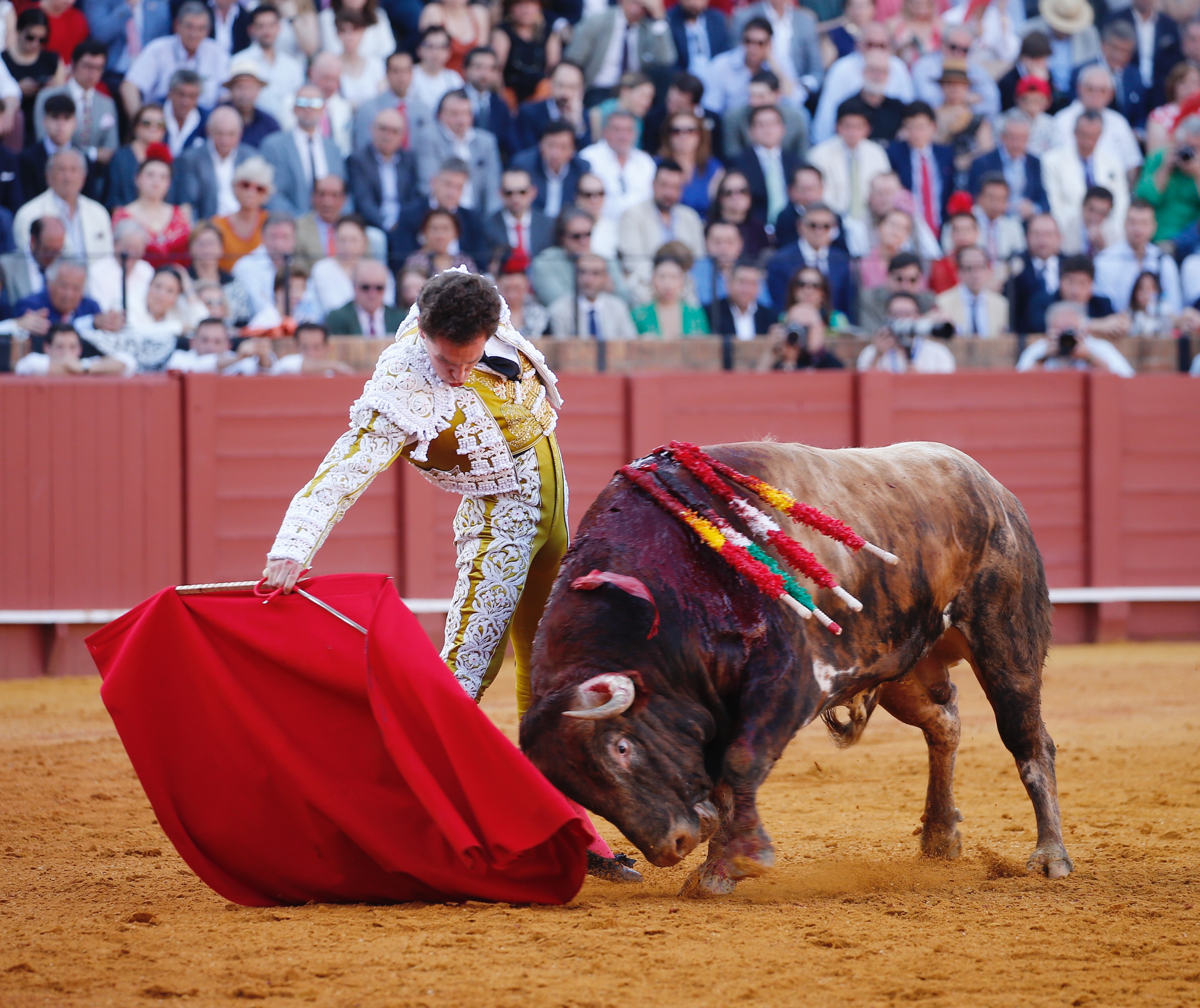 <p>Fotos: Arjona / Pagés</p>
