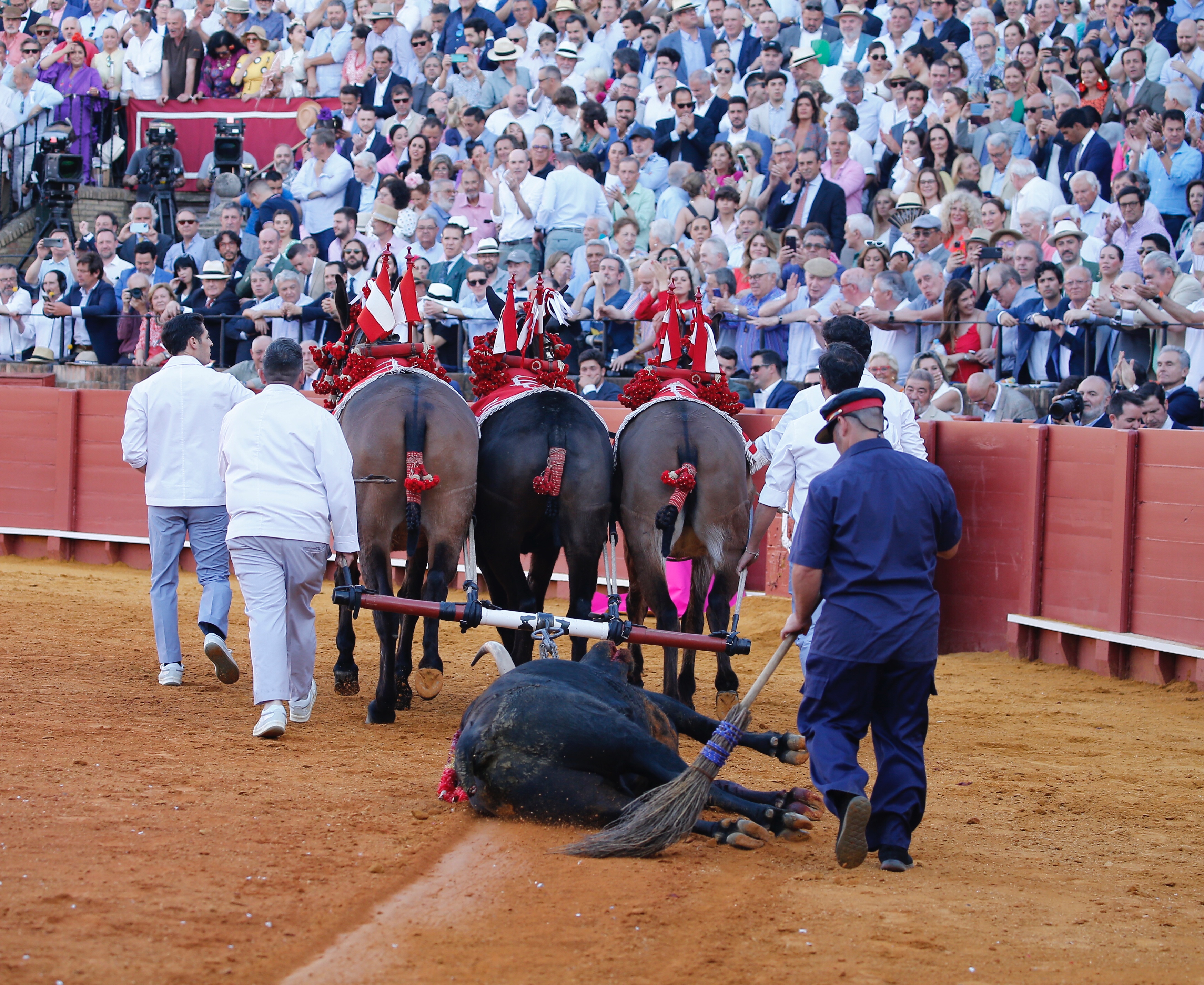 <p><span>Foto: Arjona / Pagés</span></p>