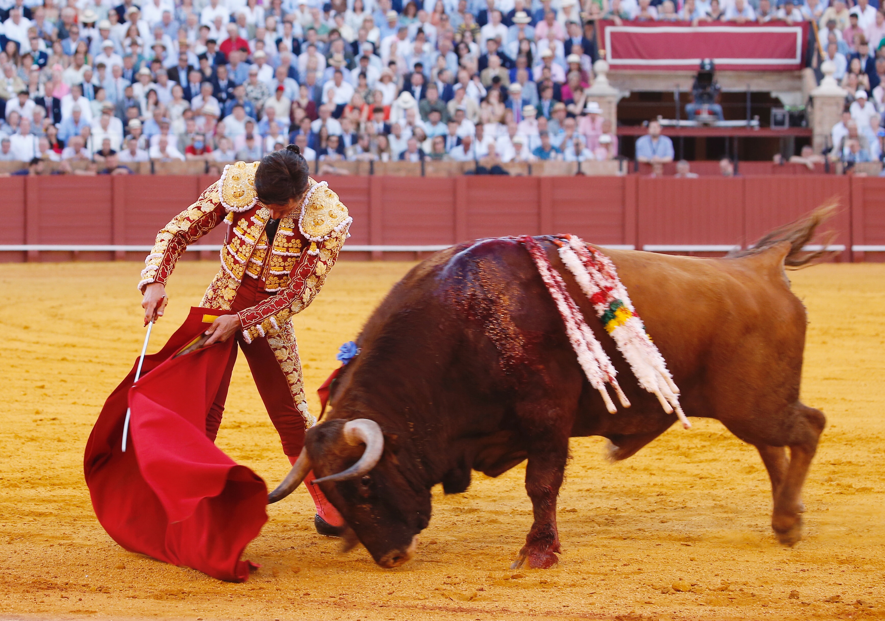 <p><span>Foto: Arjona / Pagés</span></p>