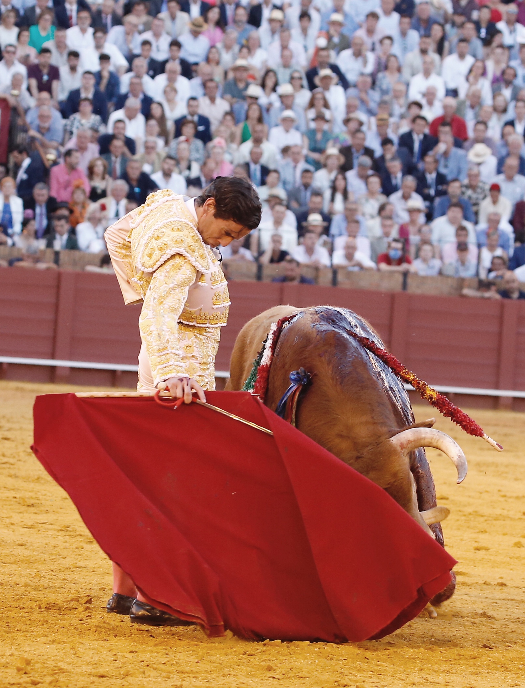 <p><span>Foto: Arjona / Pagés</span></p>