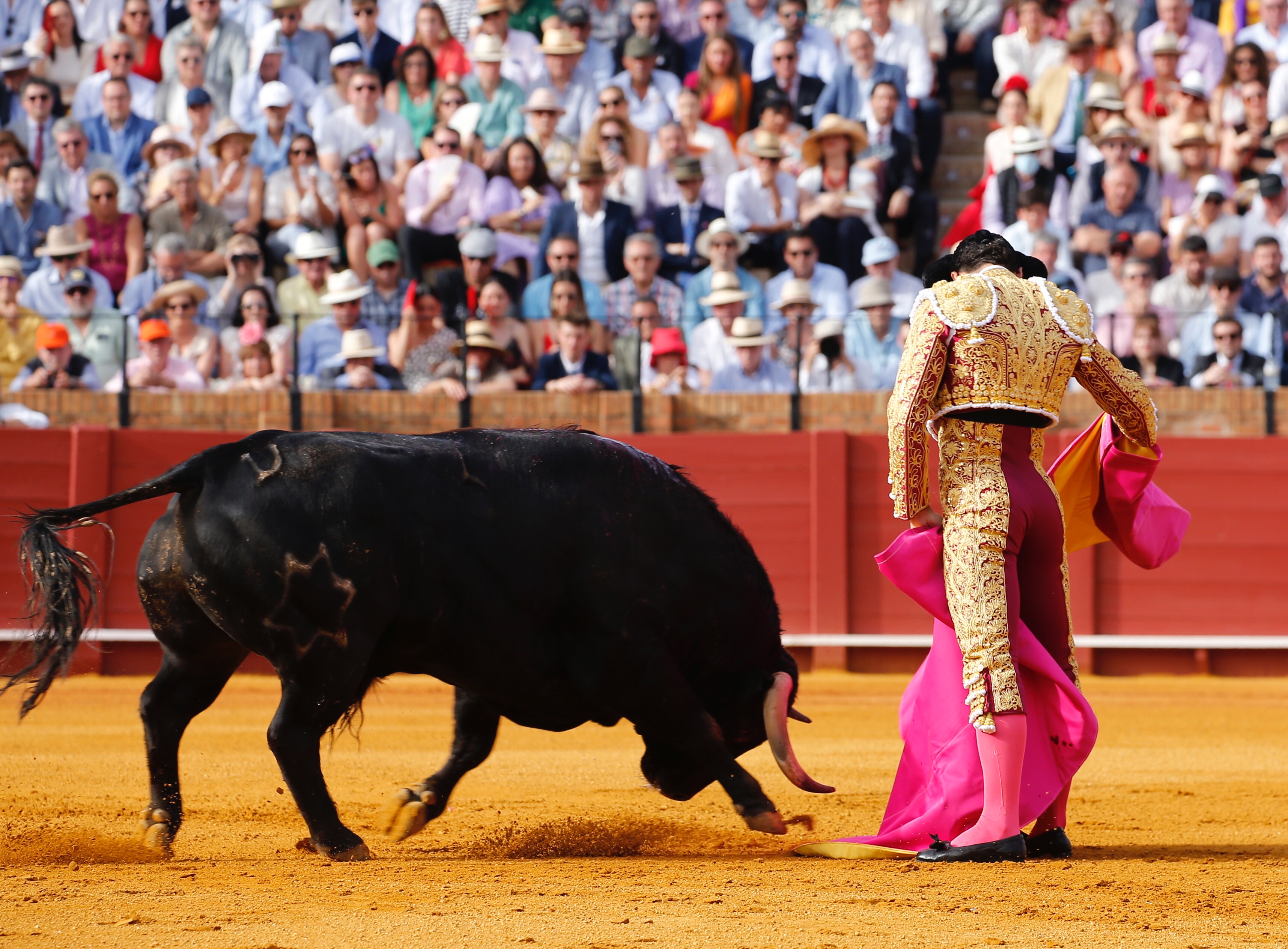 <p>Foto: Arjona / Pagés</p>