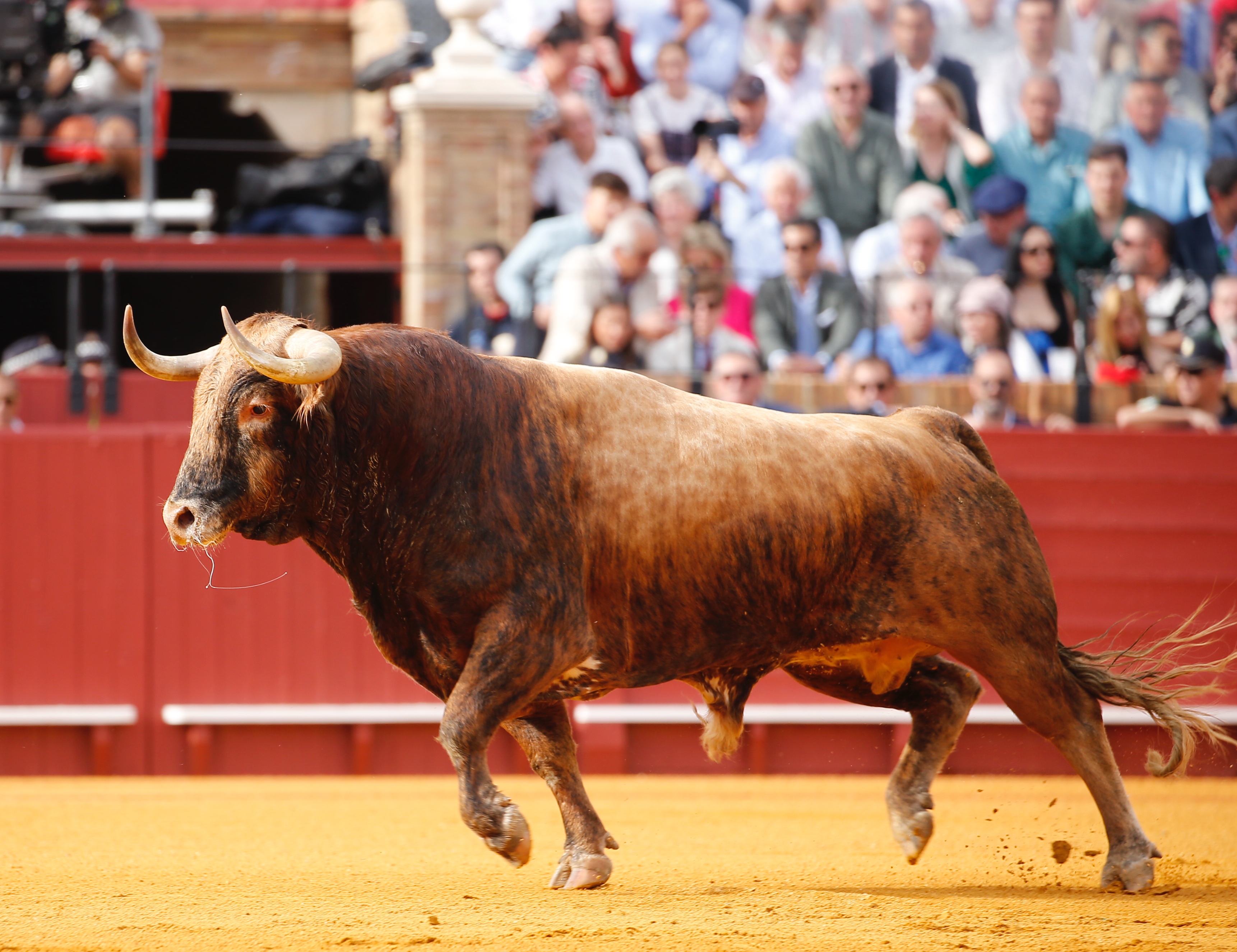 <p><span>Fotos: Arjona / Pagés</span></p>