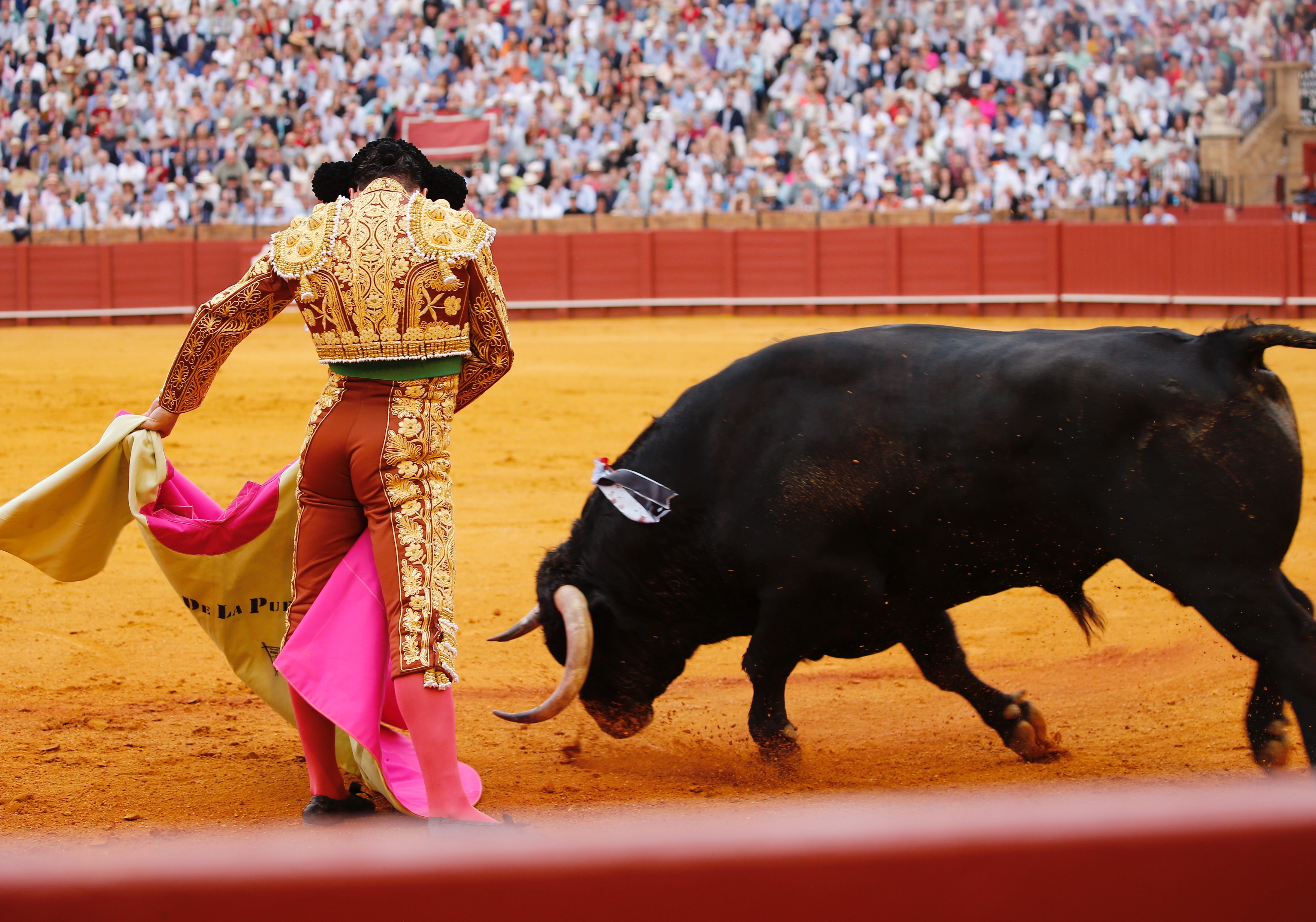 <p>Fotos: Arjona / Pagés</p>