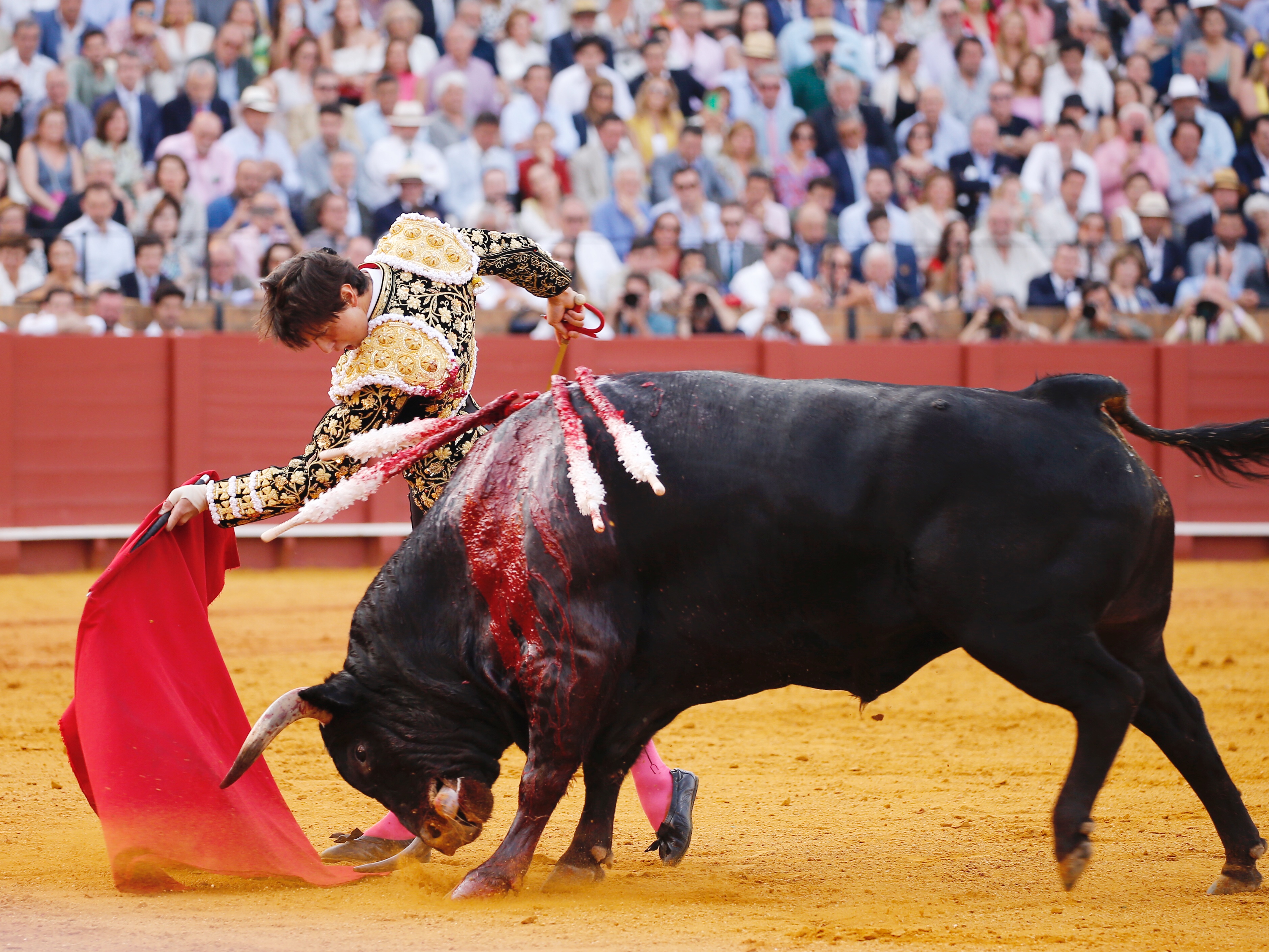 <p>Foto: Arjona / Pagés</p>