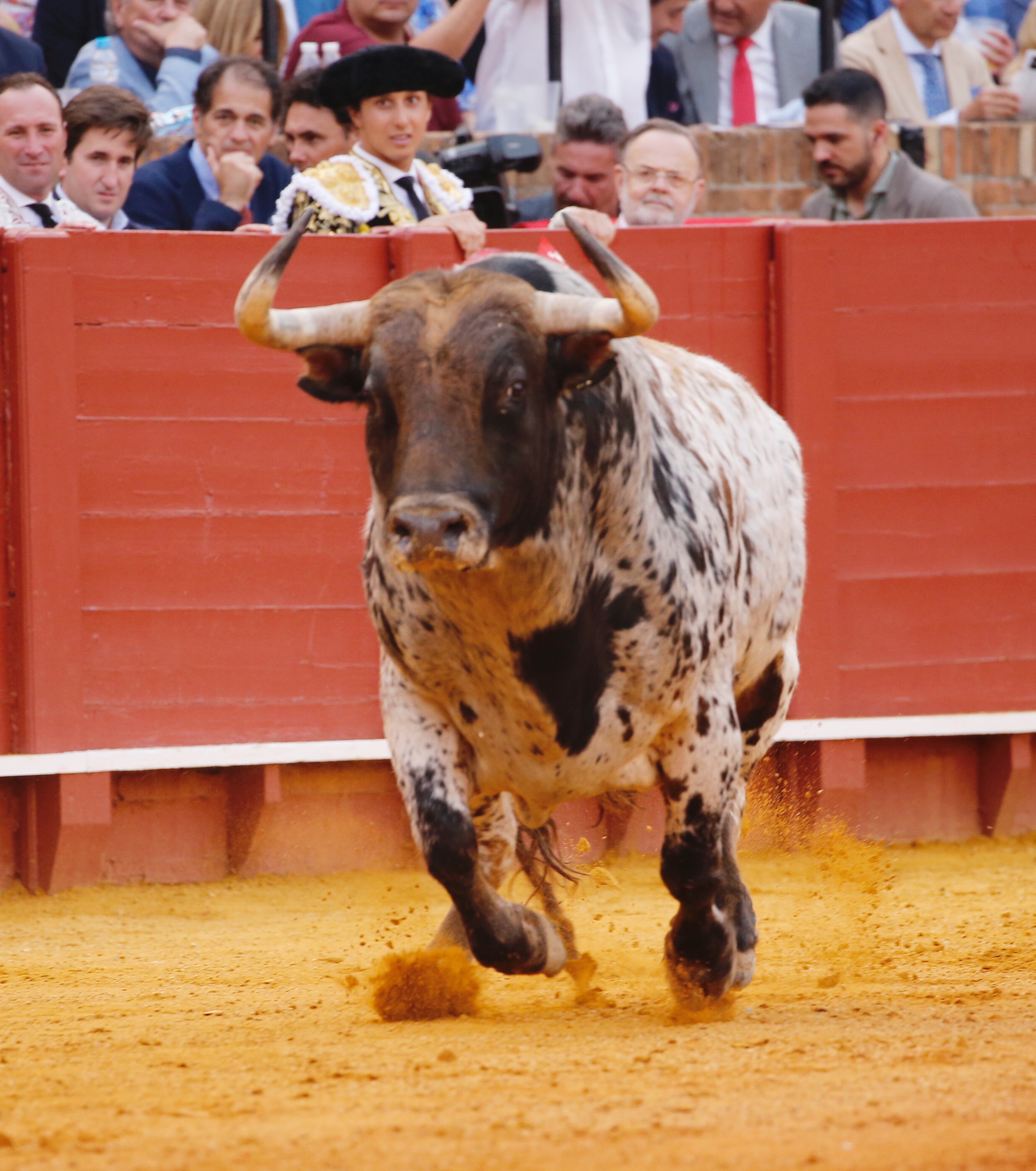 <p>Foto: Arjona / Pagés</p>