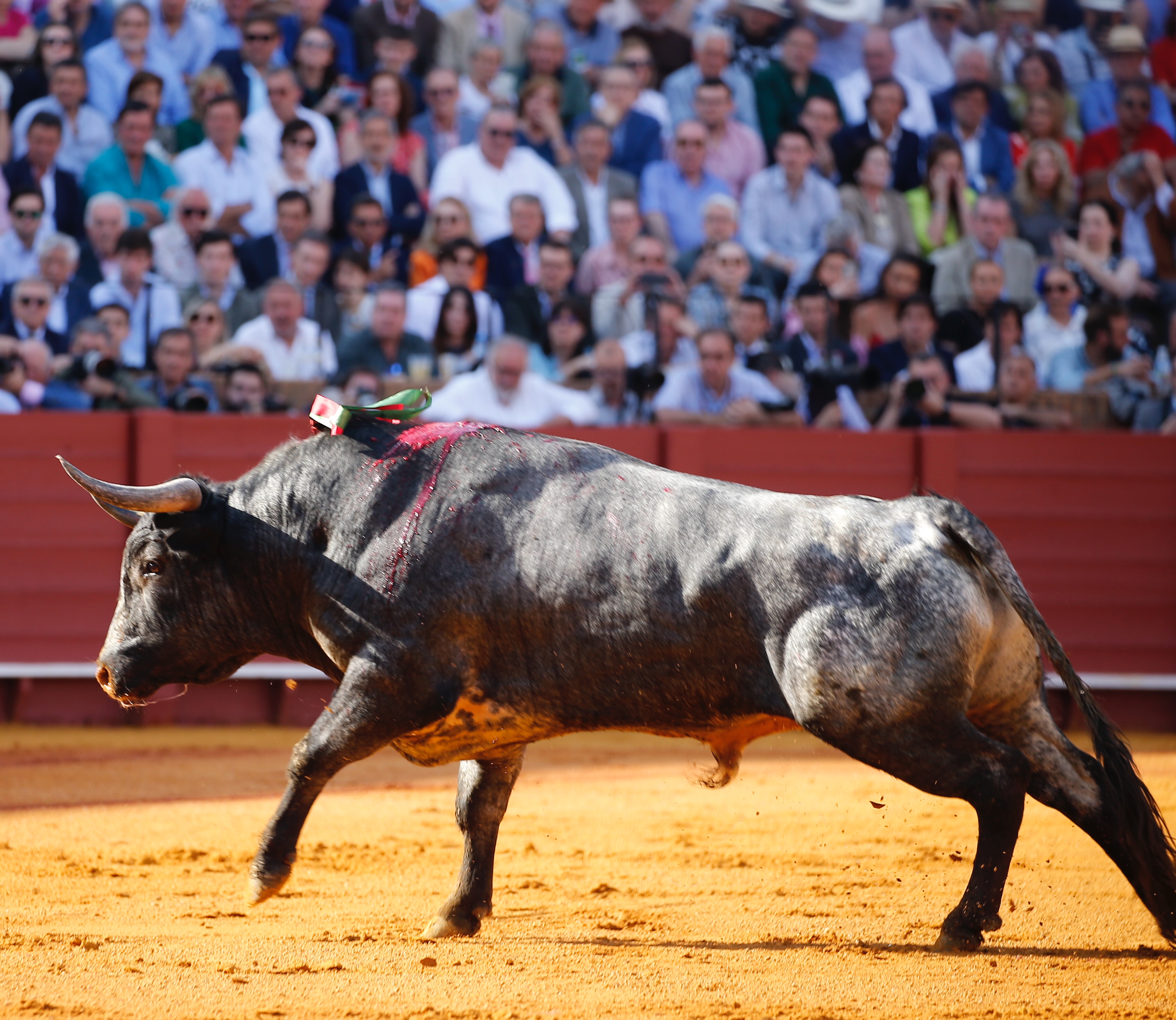 <p>Fotos: Arjona / Pagés</p>