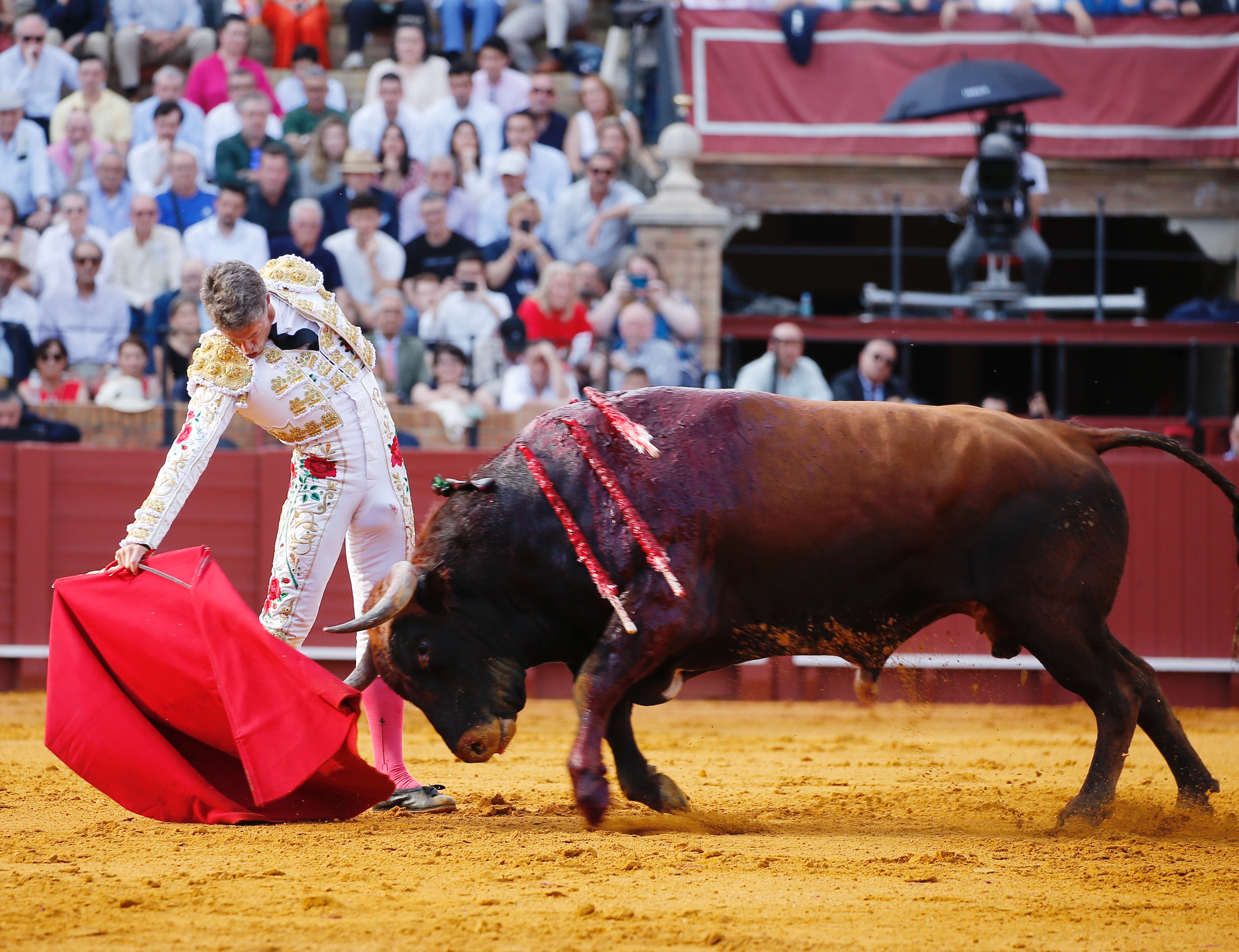<p>Fotos: Arjona / Pagés</p>