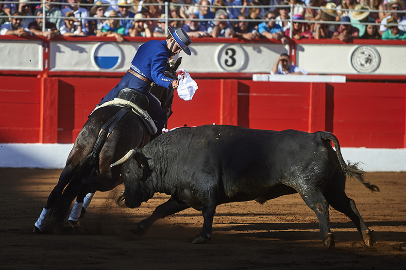 <p>© Foto: César Ortiz</p>