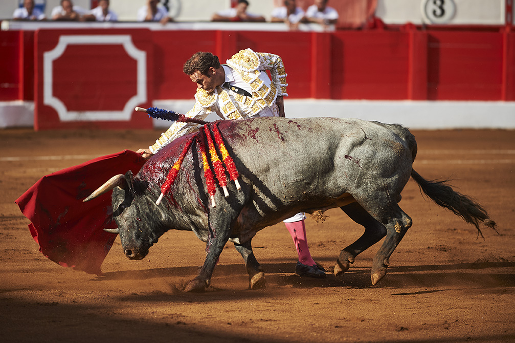 <p>© Foto: César Ortiz</p>