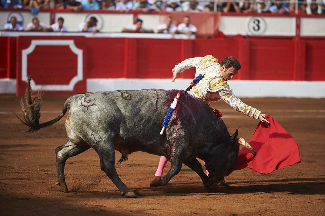 <p>© Foto: César Ortiz</p>