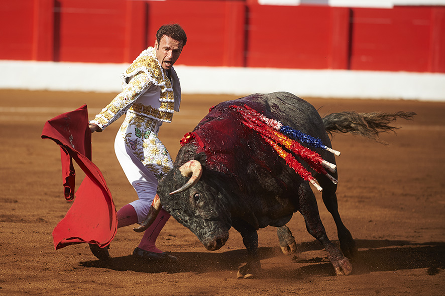 <p>© Foto: César Ortiz</p>
