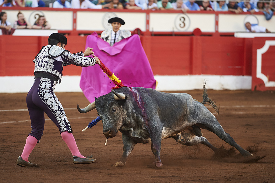 <p>© Foto: César Ortiz</p>
