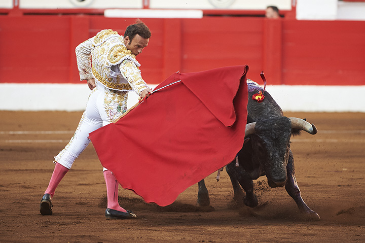 <p>© Foto: César Ortiz</p>