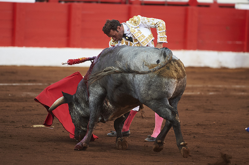 <p>© Foto: César Ortiz</p>