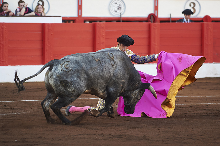<p>© Foto: César Ortiz</p>