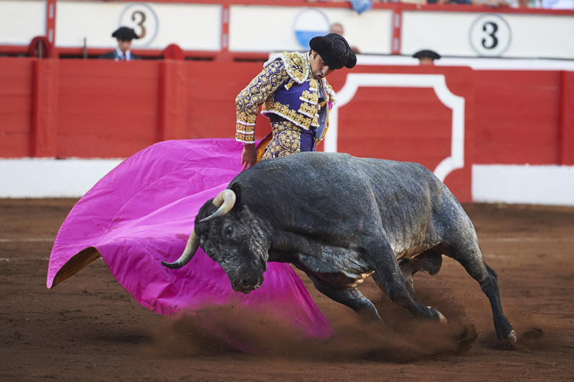 <p>© Foto: César Ortiz</p>