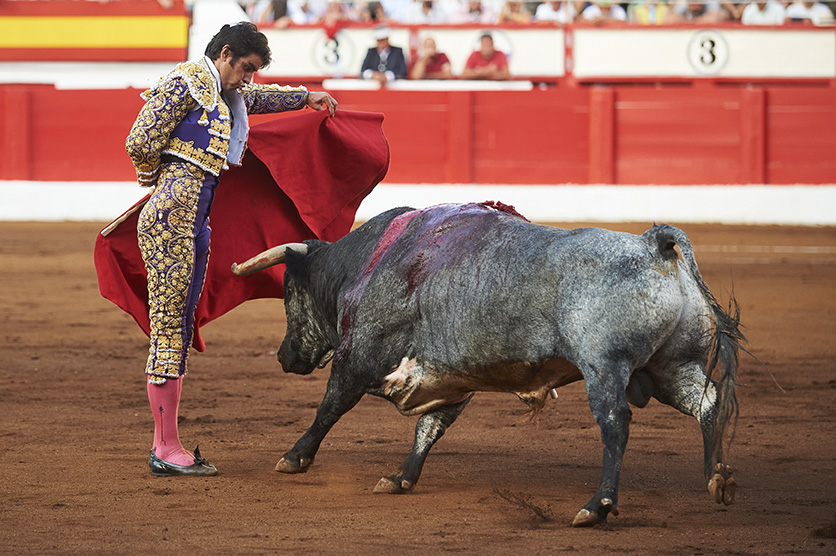 <p>© Foto: César Ortiz</p>