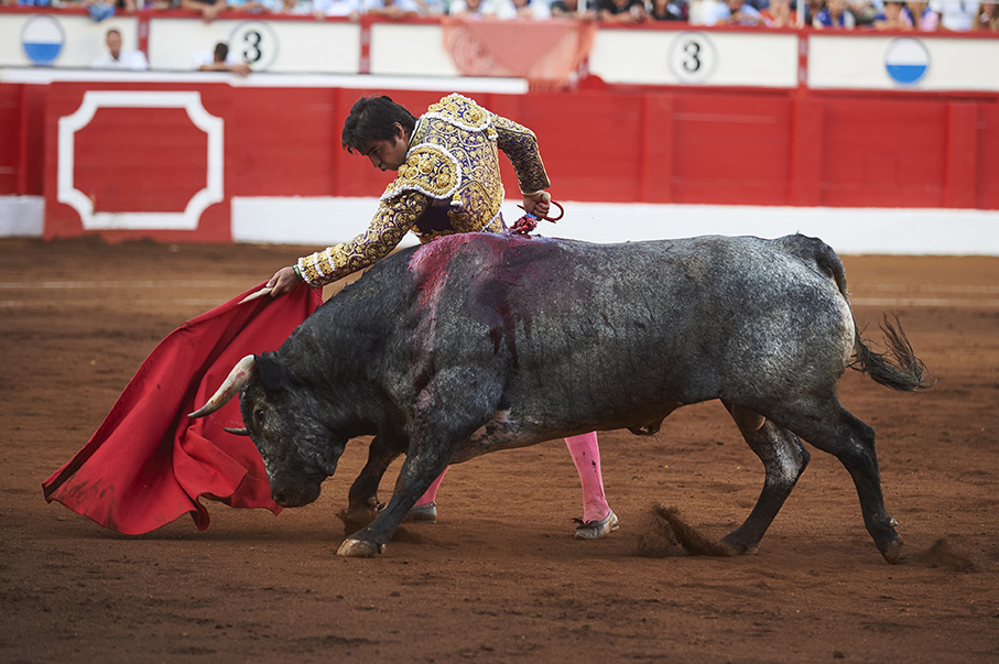 <p>© Foto: César Ortiz</p>