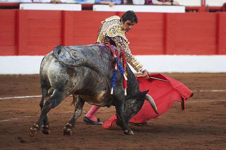 <p>© Foto: César Ortiz</p>