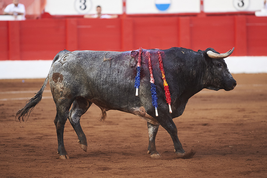 <p>© Foto: César Ortiz</p>