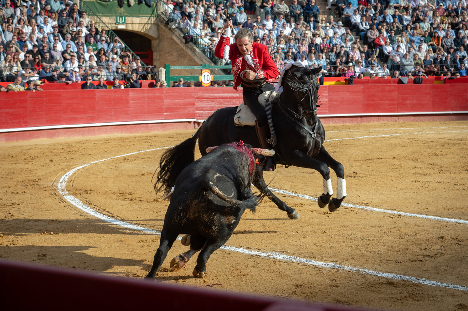 <p><span>Foto: Litugo / Natalia</span></p>