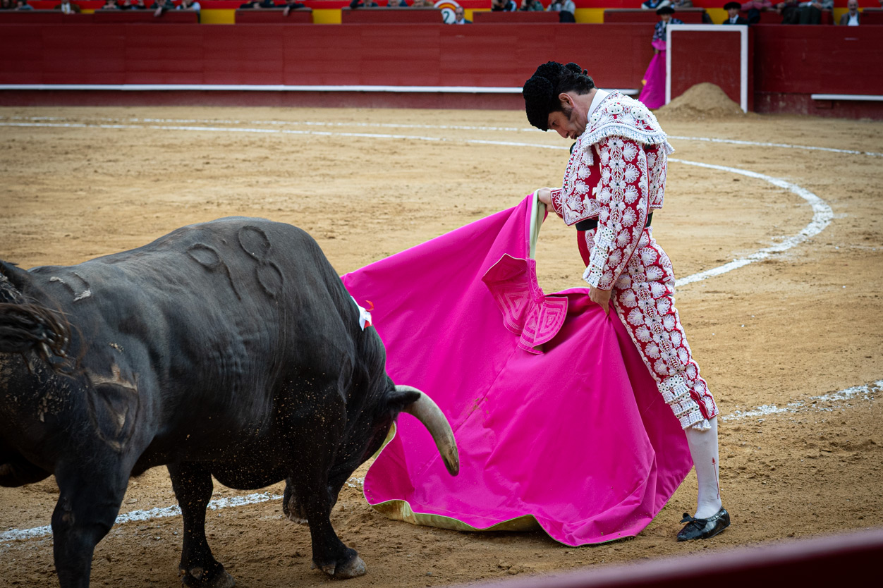 <p><span>Foto: Litugo / Natalia</span></p>