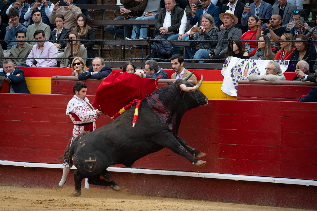 <p><span>Foto: Litugo / Natalia</span></p>