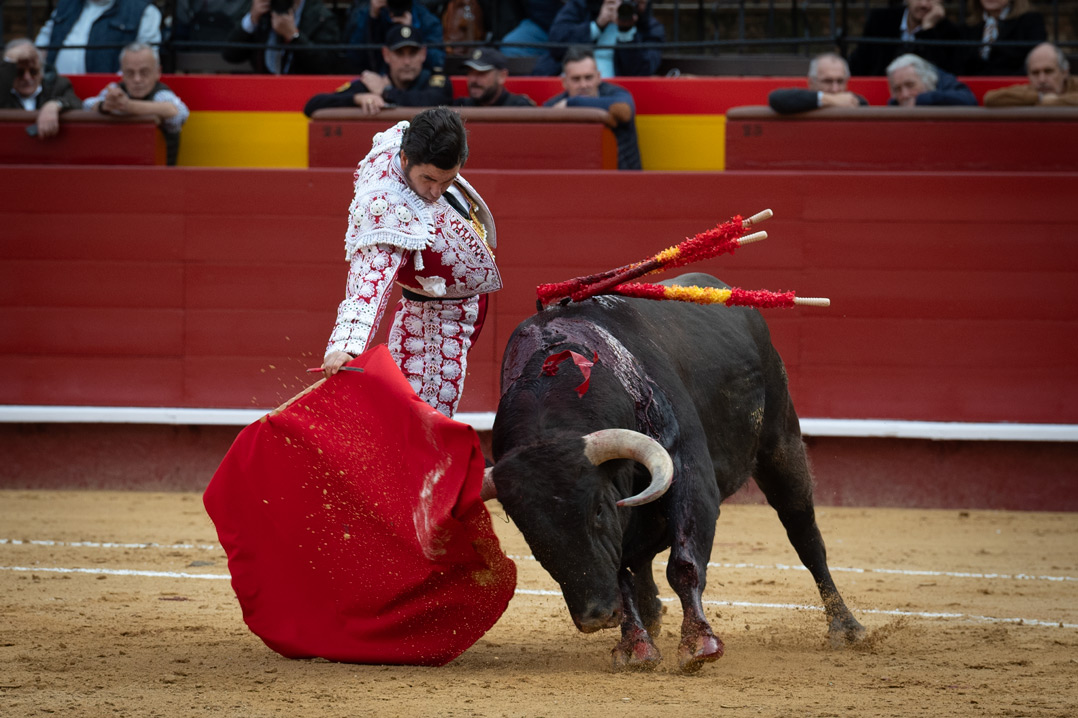 <p><span>Foto: Litugo / Natalia</span></p>