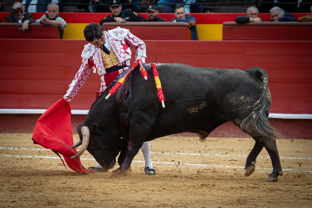 <p><span>Foto: Litugo / Natalia</span></p>